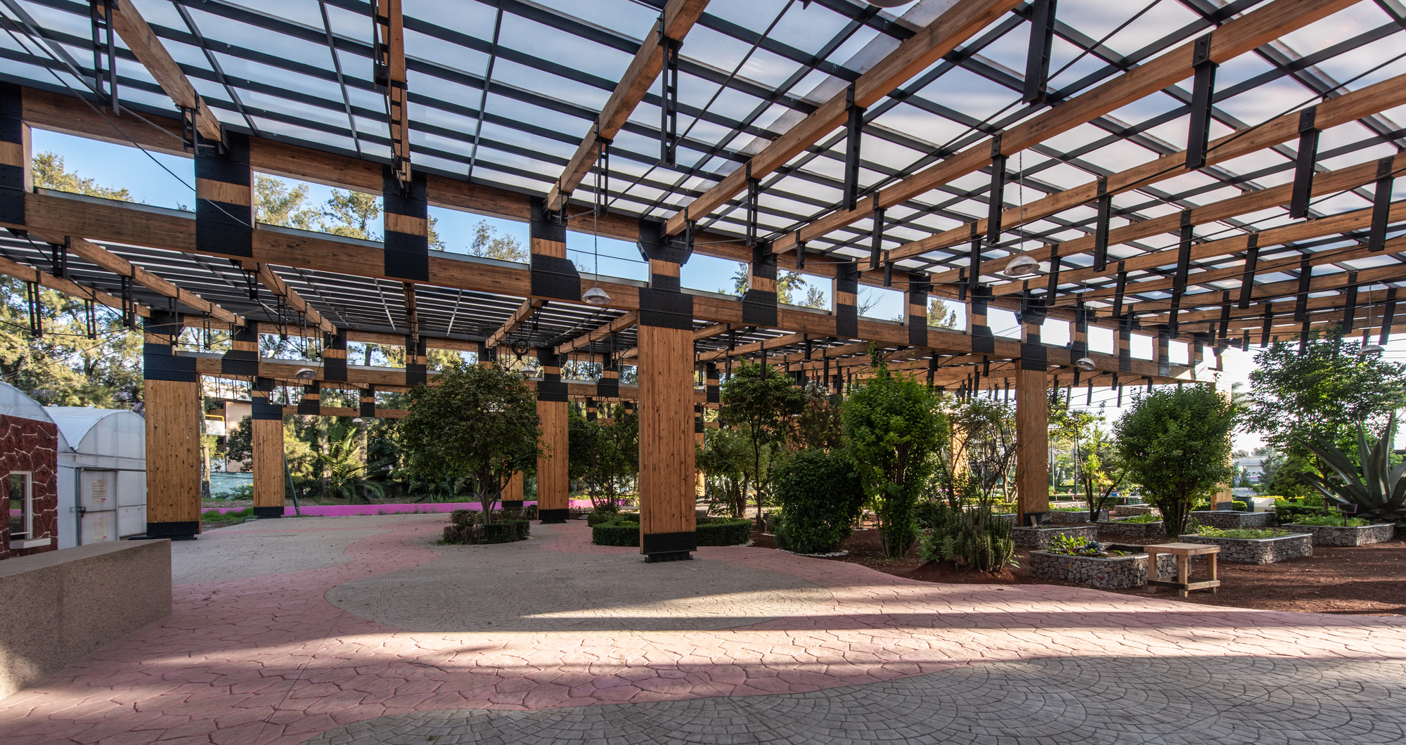 Wide view under the timber pergola with black steel connectors, planted beds and a pink stamped paving path in daylight