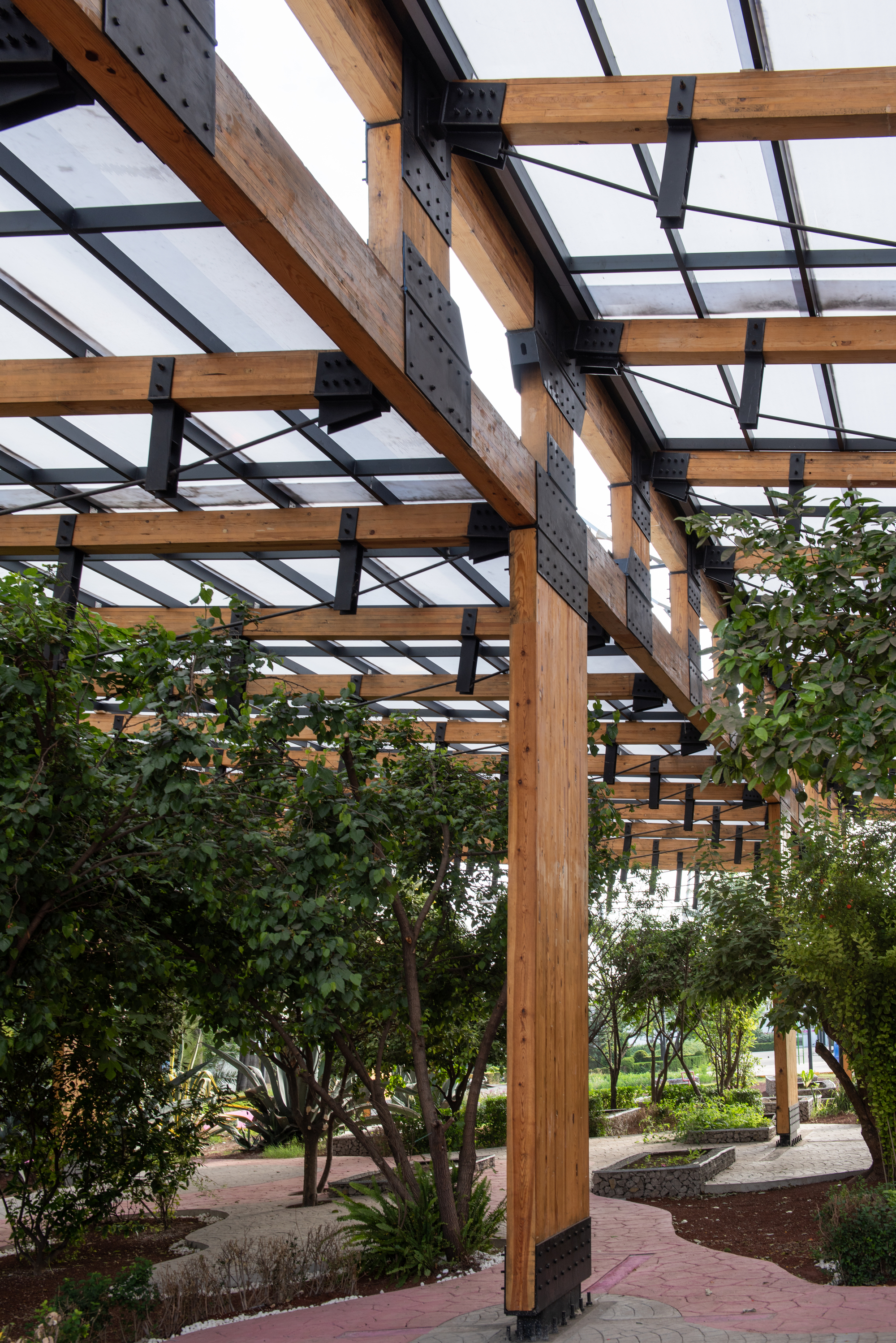 Looking up along a timber column and diagonal beam with bolted steel plates, with leafy trees and a winding path below