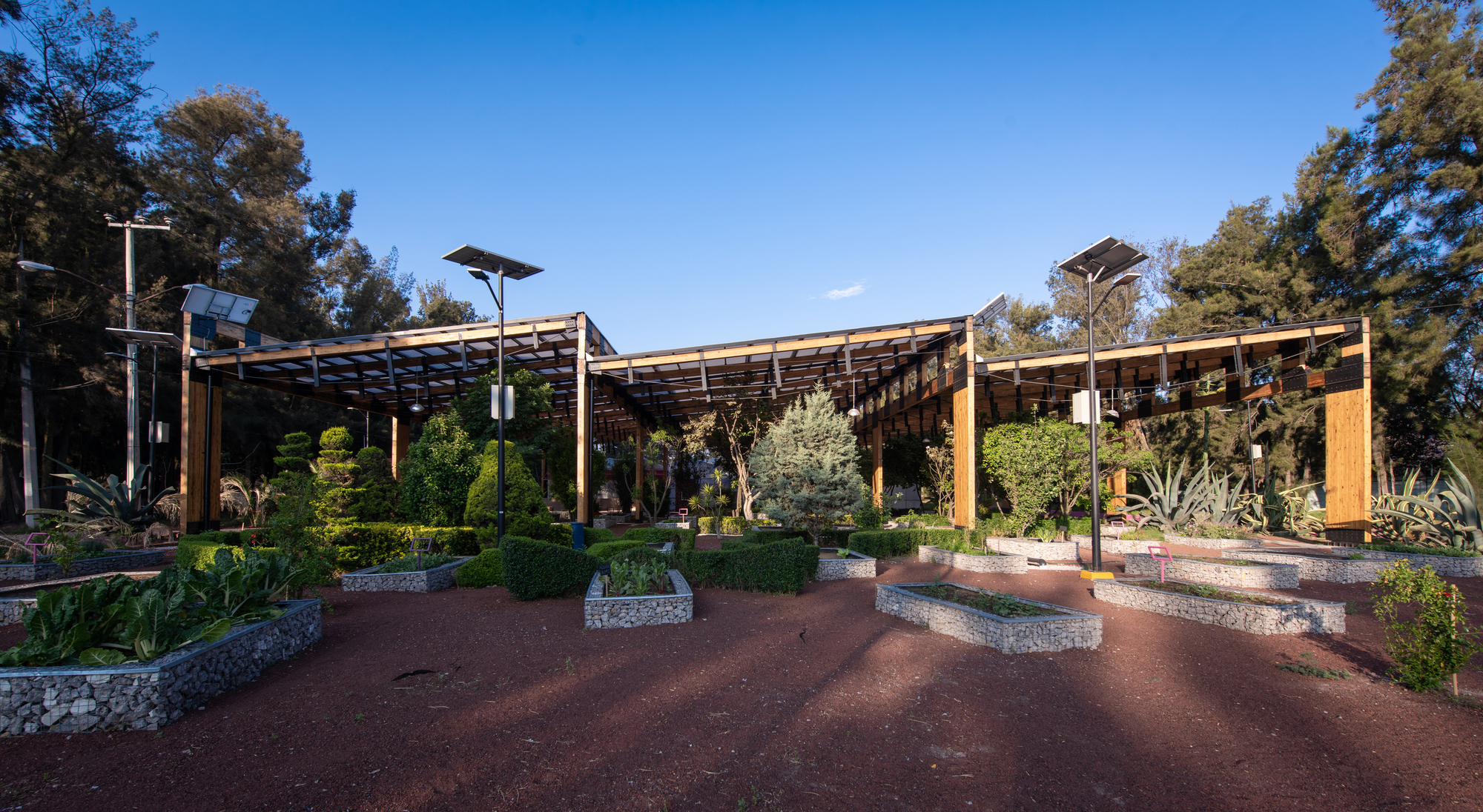 Timber-framed open pavilion with solar lamp posts, gabion-edged planters and agaves on red gravel under a clear blue sky