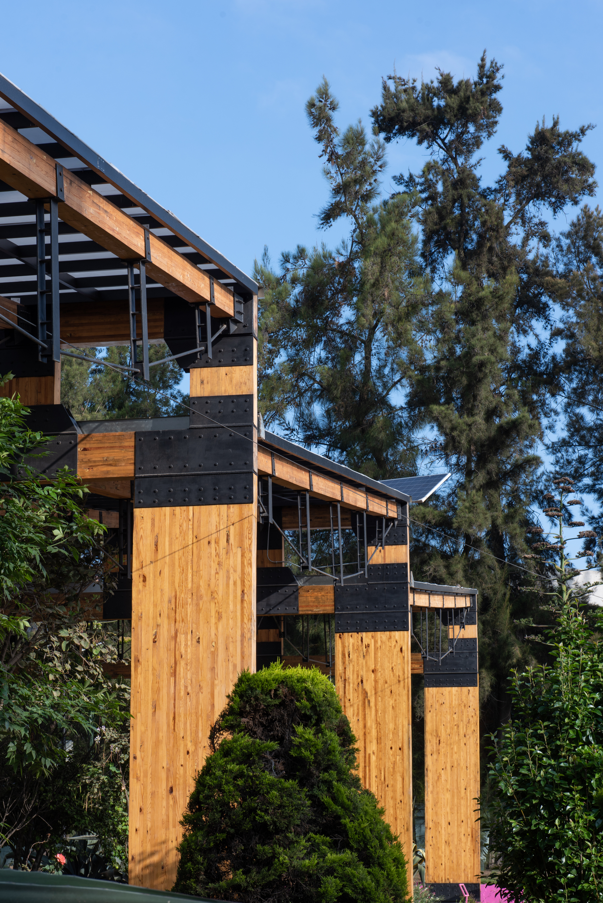Row of timber columns with black bolted steel collars, seen past a rounded shrub and tall pines in daylight
