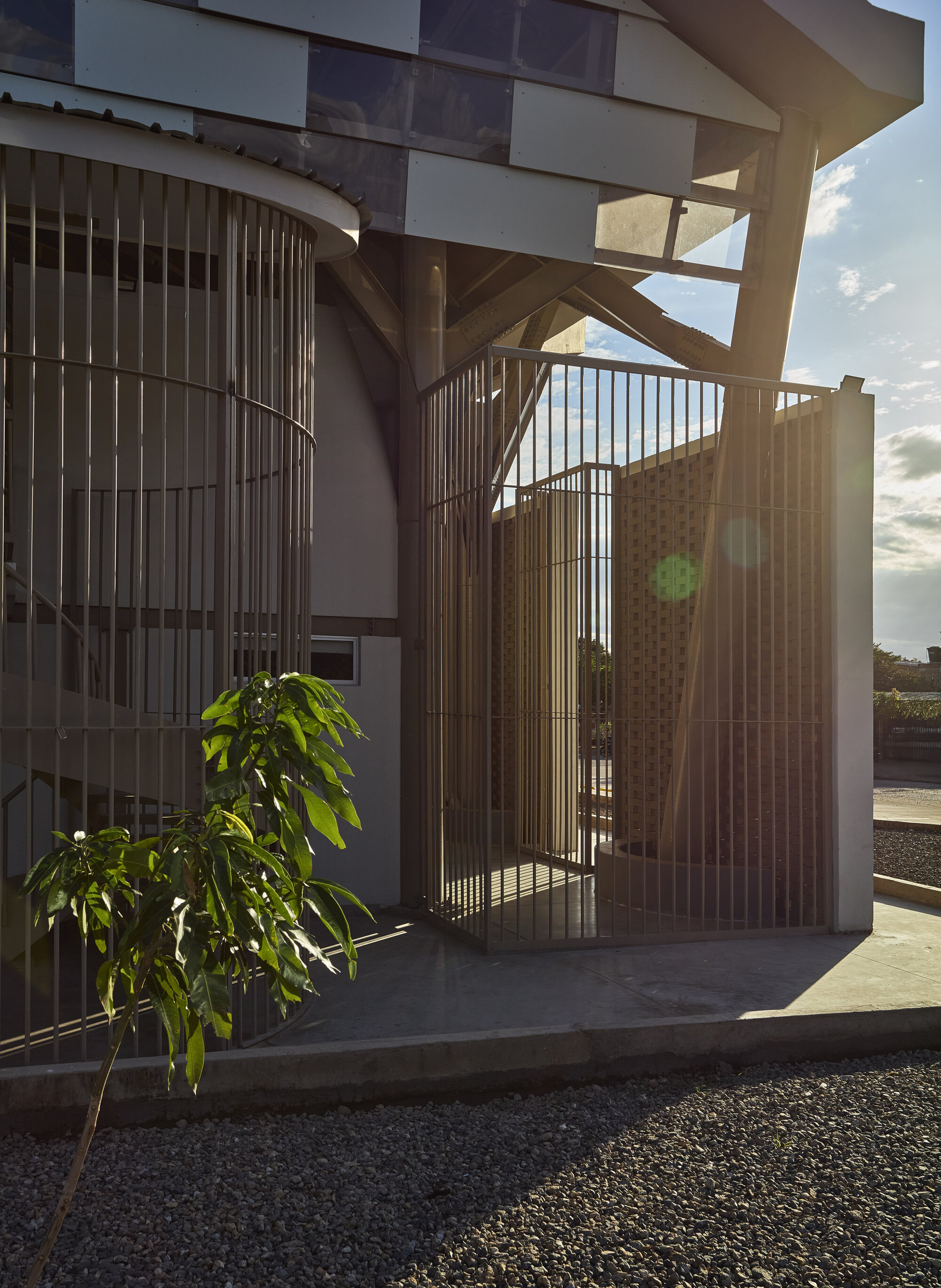Metal screen entry with young tree beside the curved threshold at golden hour