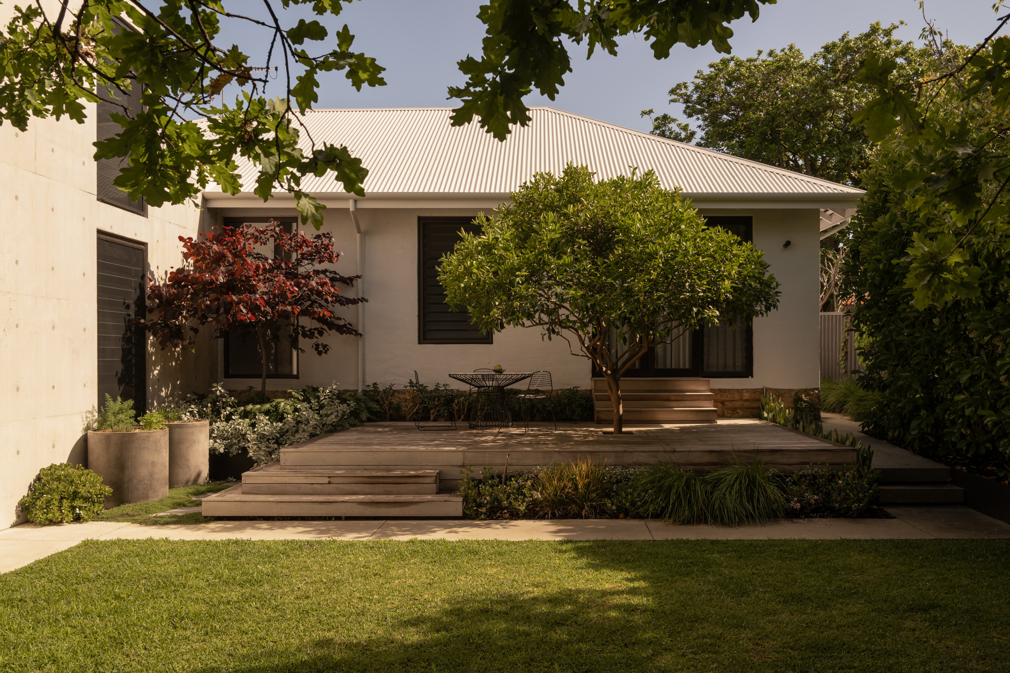 Rear garden view showing tiered timber decking with planted beds and a white corrugated metal roof in afternoon light