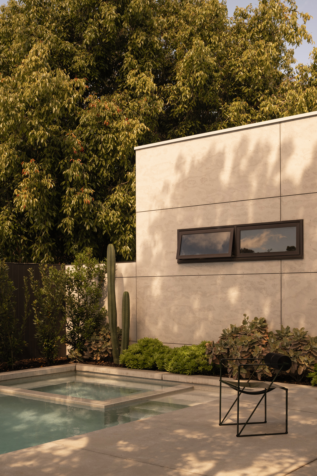 Rear elevation with plunge pool and horizontal windows beneath dappled tree shade