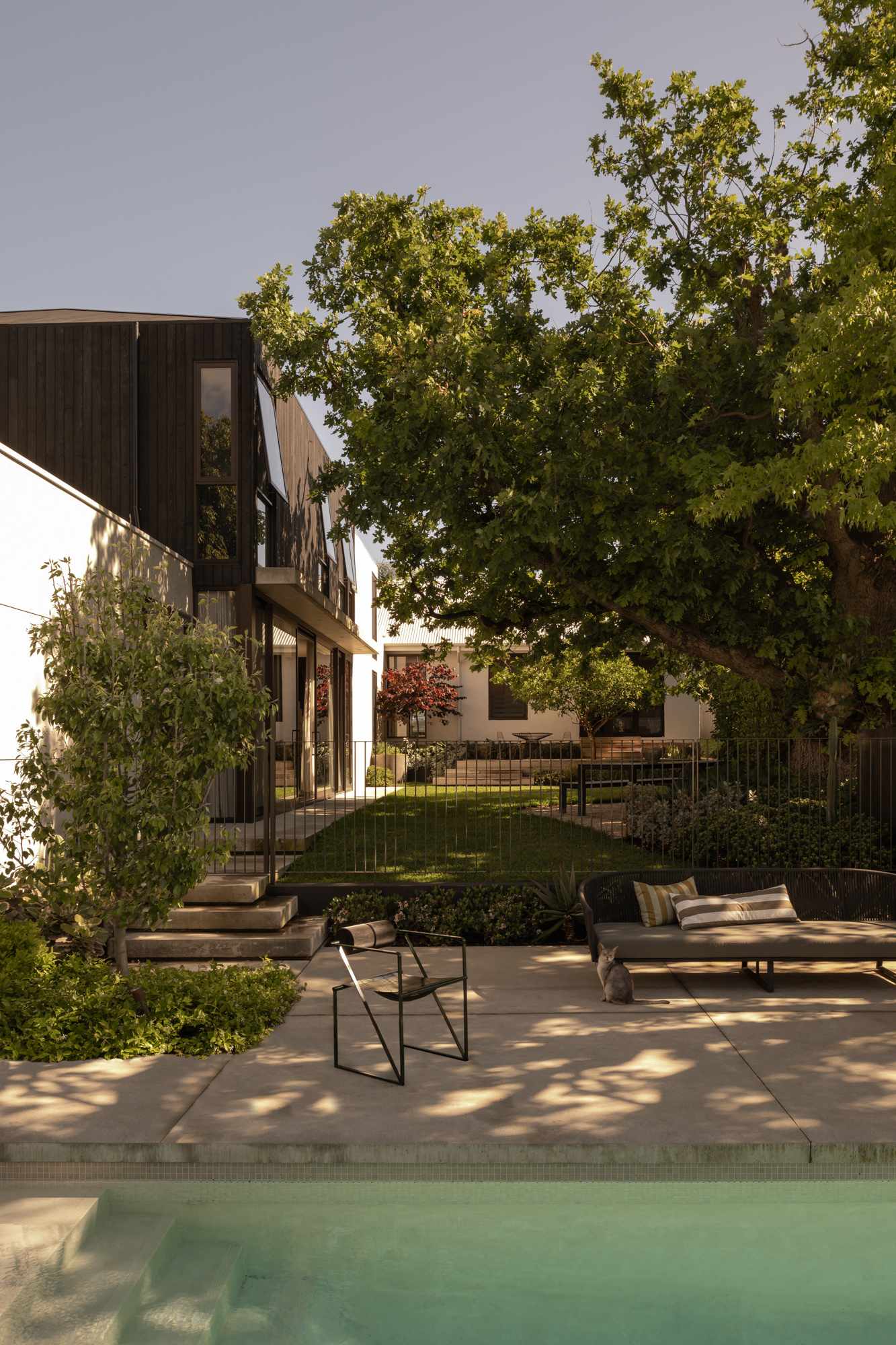 Courtyard pool terrace with dappled sunlight beneath a mature tree canopy at dusk