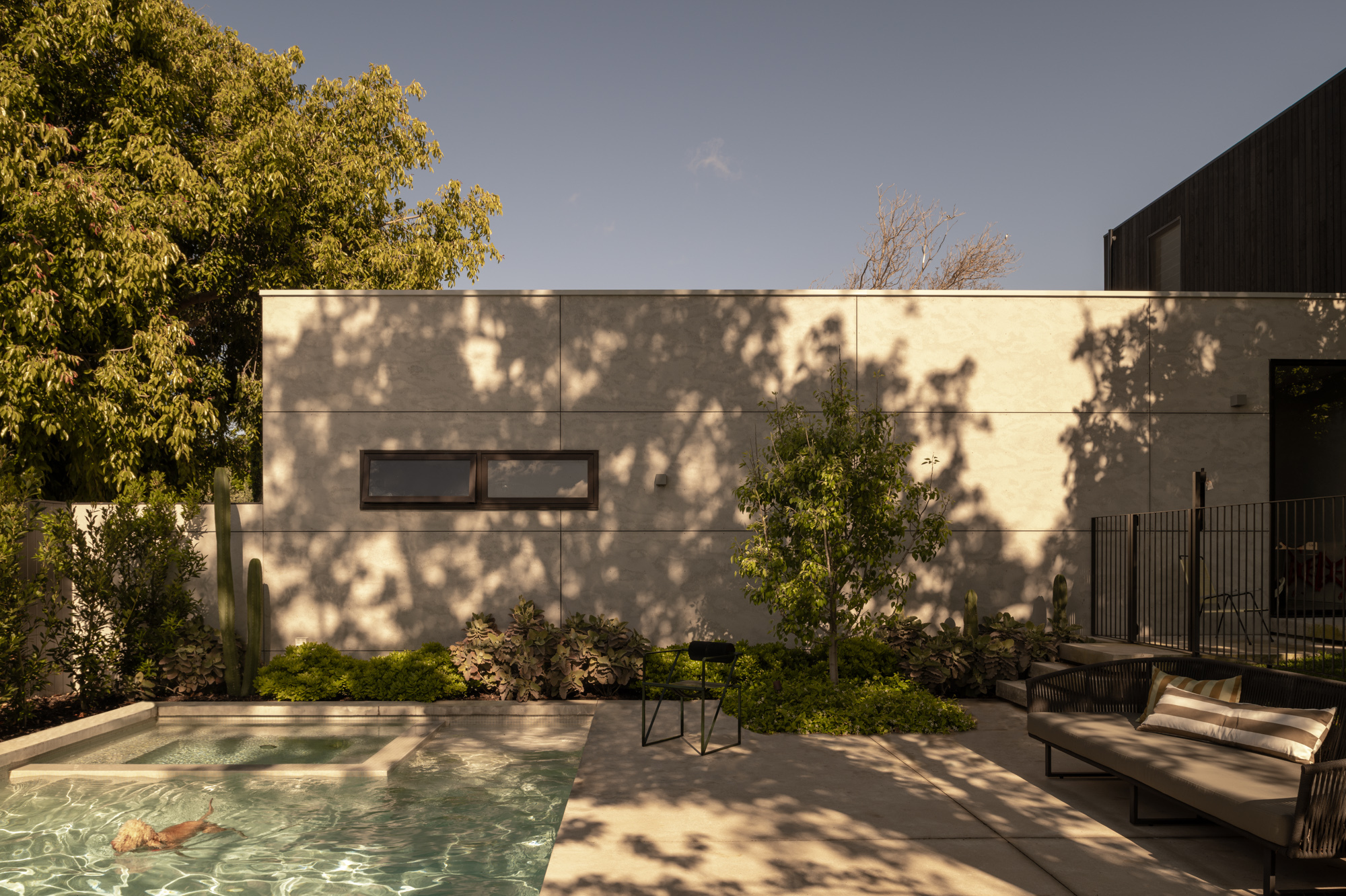 Concrete wall with horizontal ribbon window casting tree shadows beside a pool at sunset