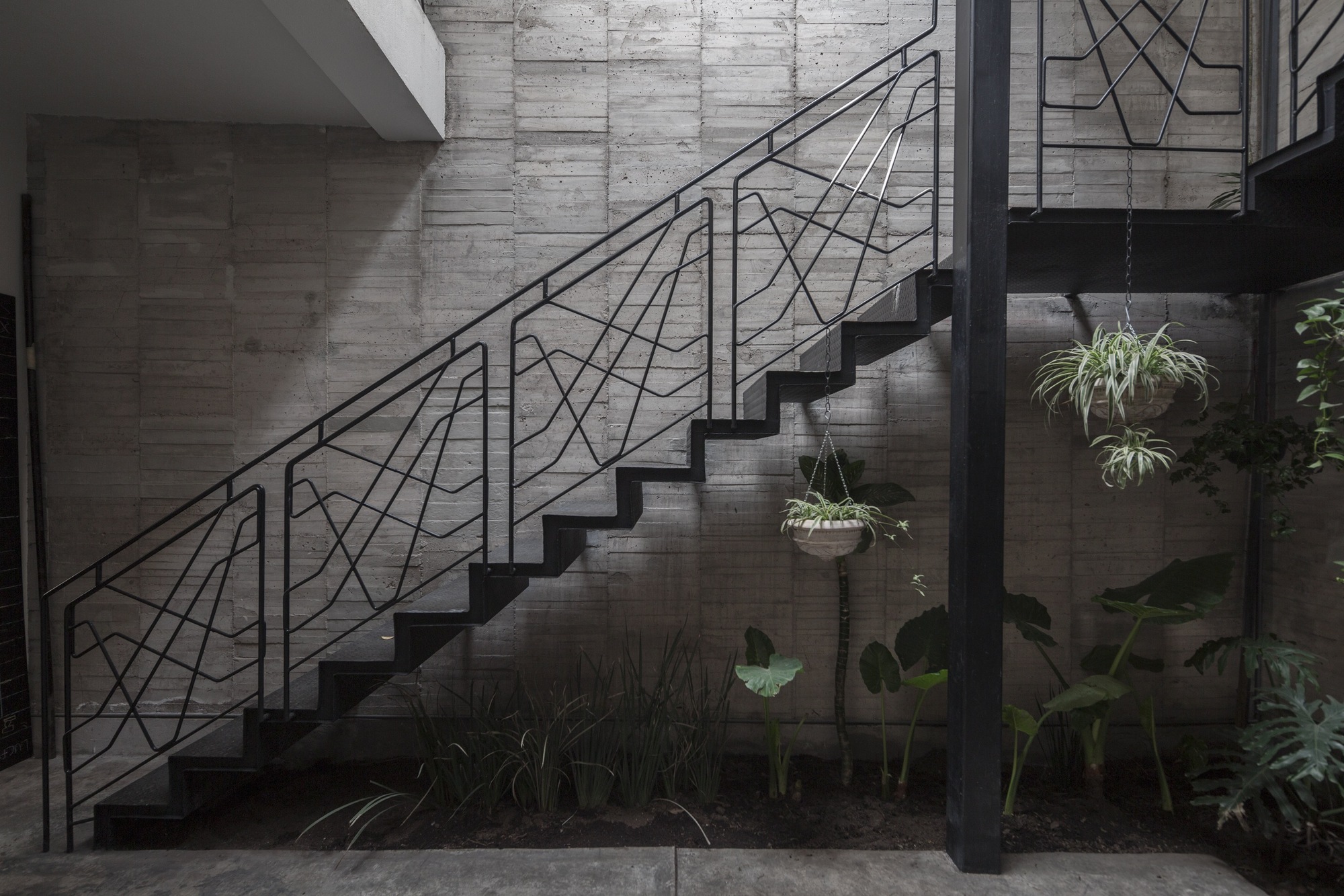 Black steel stair with a line-pattern railing against a board-formed concrete wall, with hanging spider plants and a planted bed below