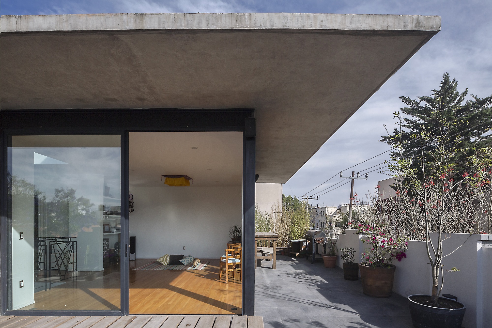 Concrete roof overhang above a glass sliding door opening onto a slate terrace with flowering potted trees in afternoon sun