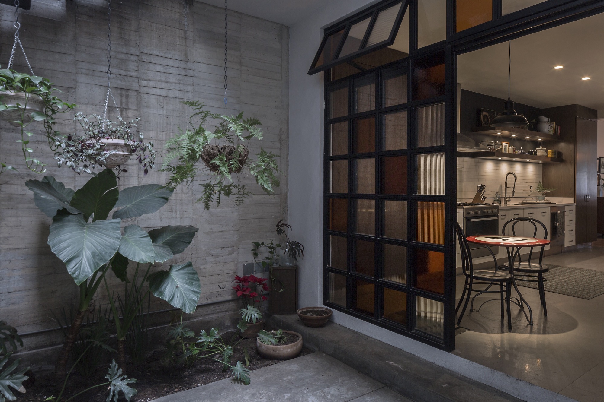 Board-formed concrete courtyard wall with hanging ferns and large-leaf plants beside a black steel-framed glass wall opening to the kitchen at dusk