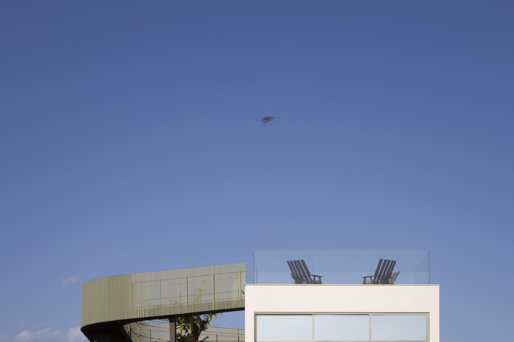 Rooftop terrace with two lounge chairs and a bird in flight overhead