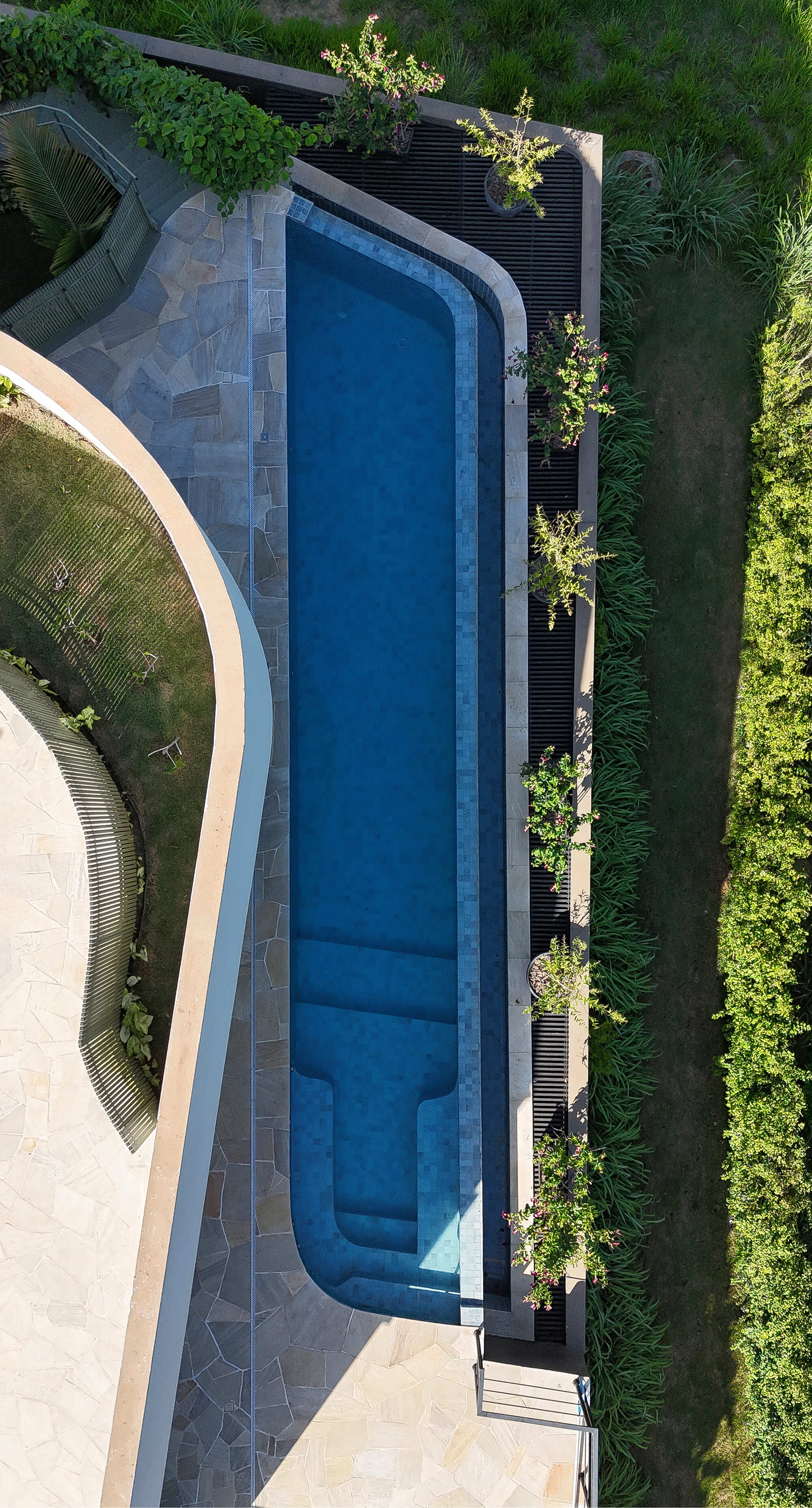 Aerial view of a curved lap pool with stone deck and flanking lawns