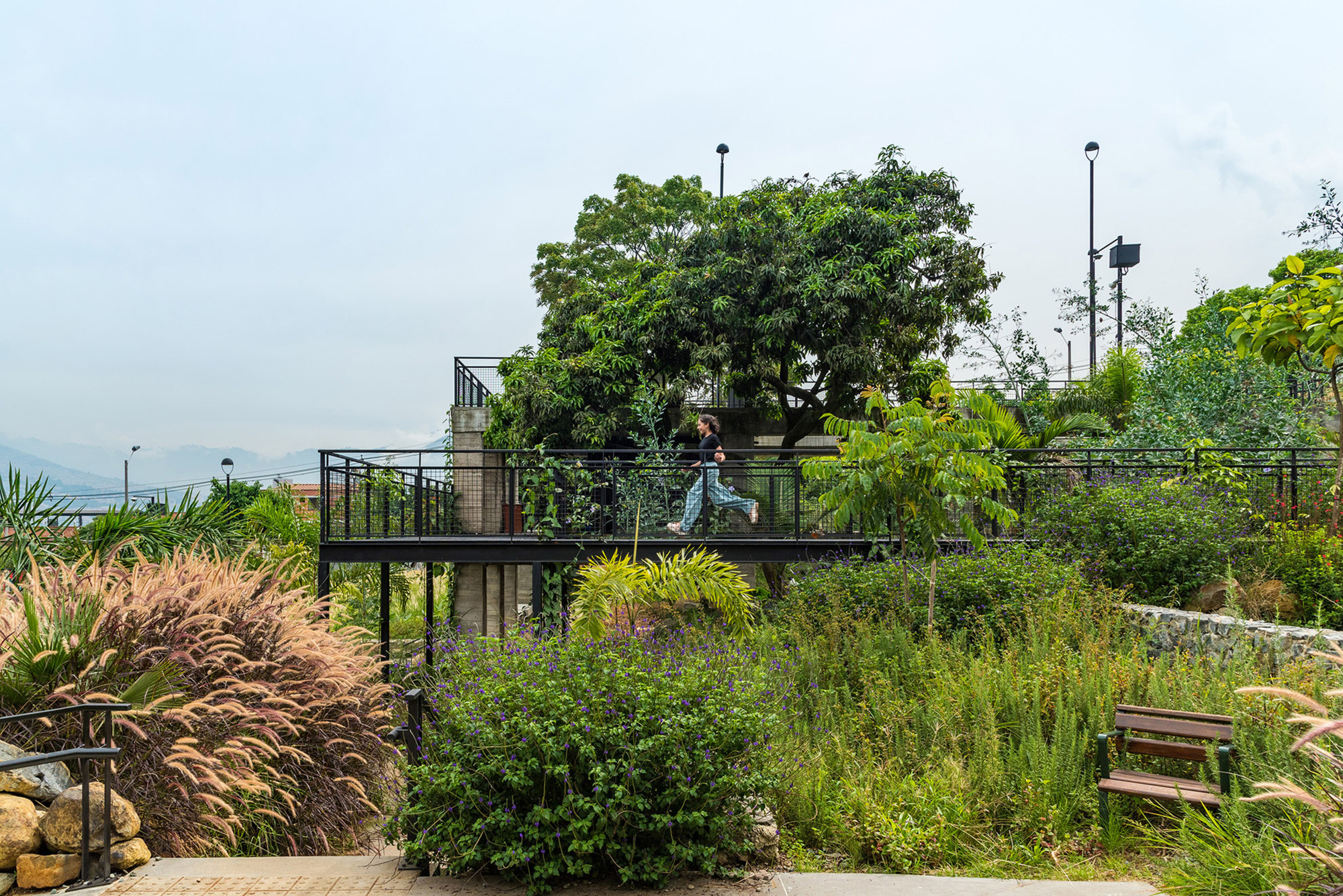 Steel-framed elevated platform with mature tree canopy surrounded by planted slopes and grasses