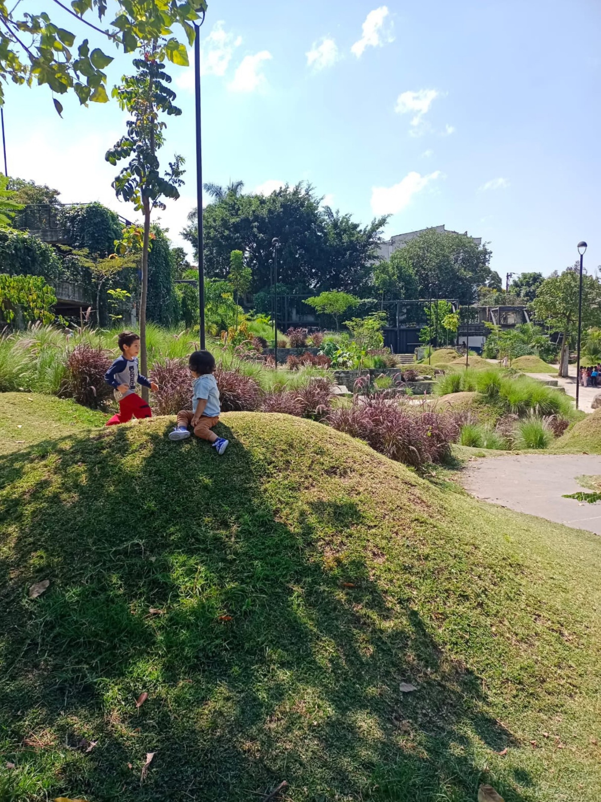 Grassy mound with two children seated among planted beds of shrubs and ornamental grasses