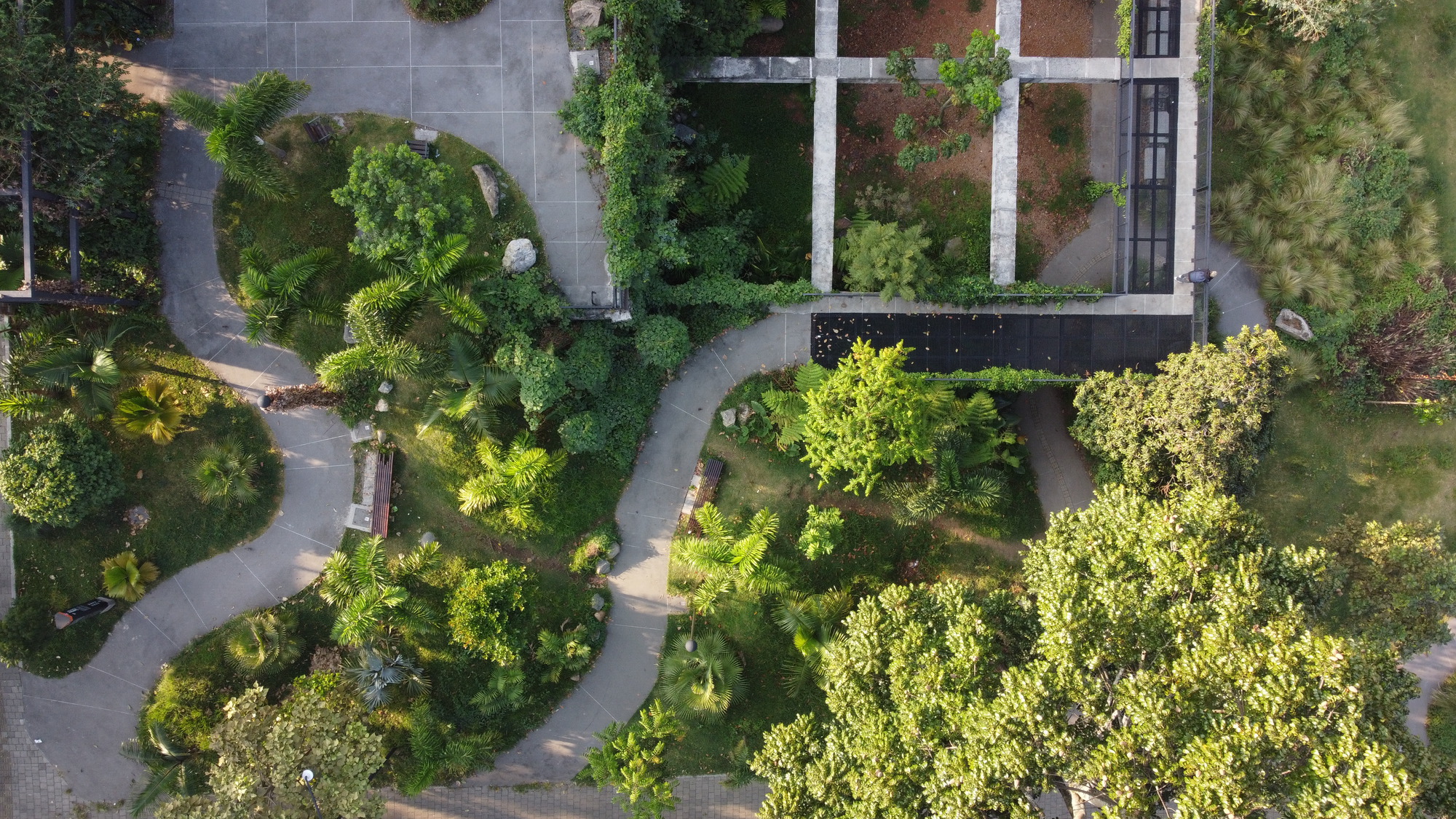Aerial view of curving pathways threading through planted beds and concrete pavement fragments