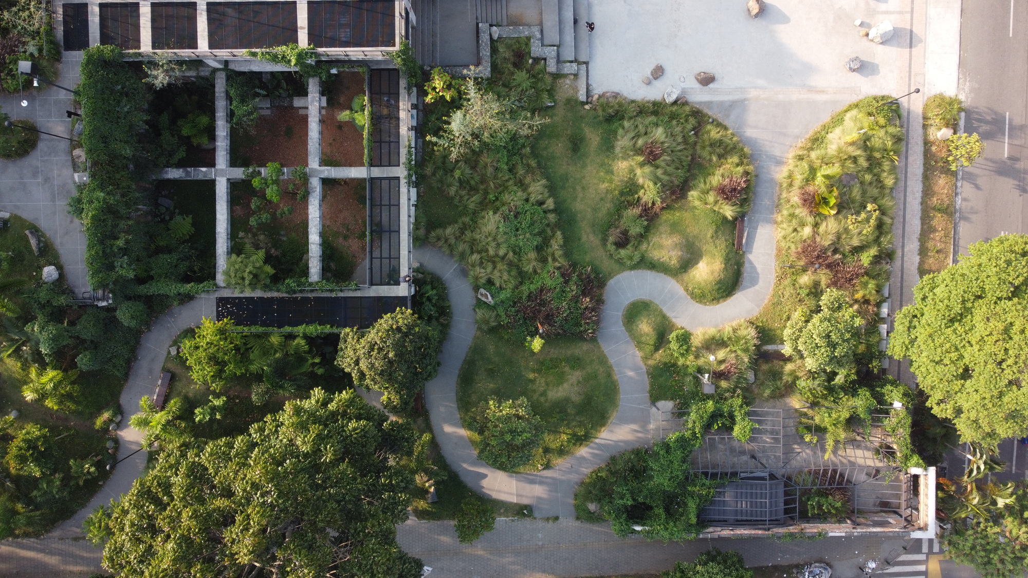 Drone view of curving pathways through garden mounds with scattered trees in morning light