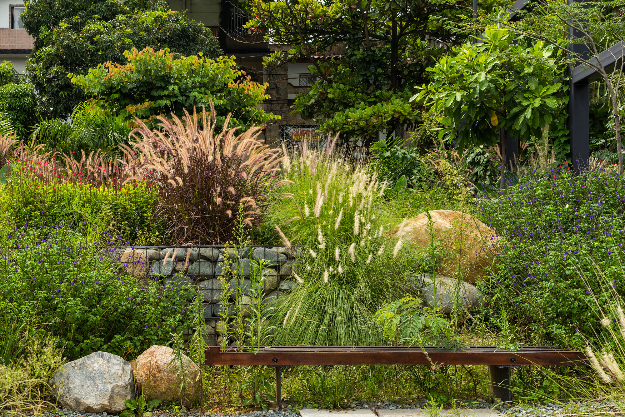 Terraced garden with gabion walls, ornamental grasses, boulders and a low timber bench in bright sunlight