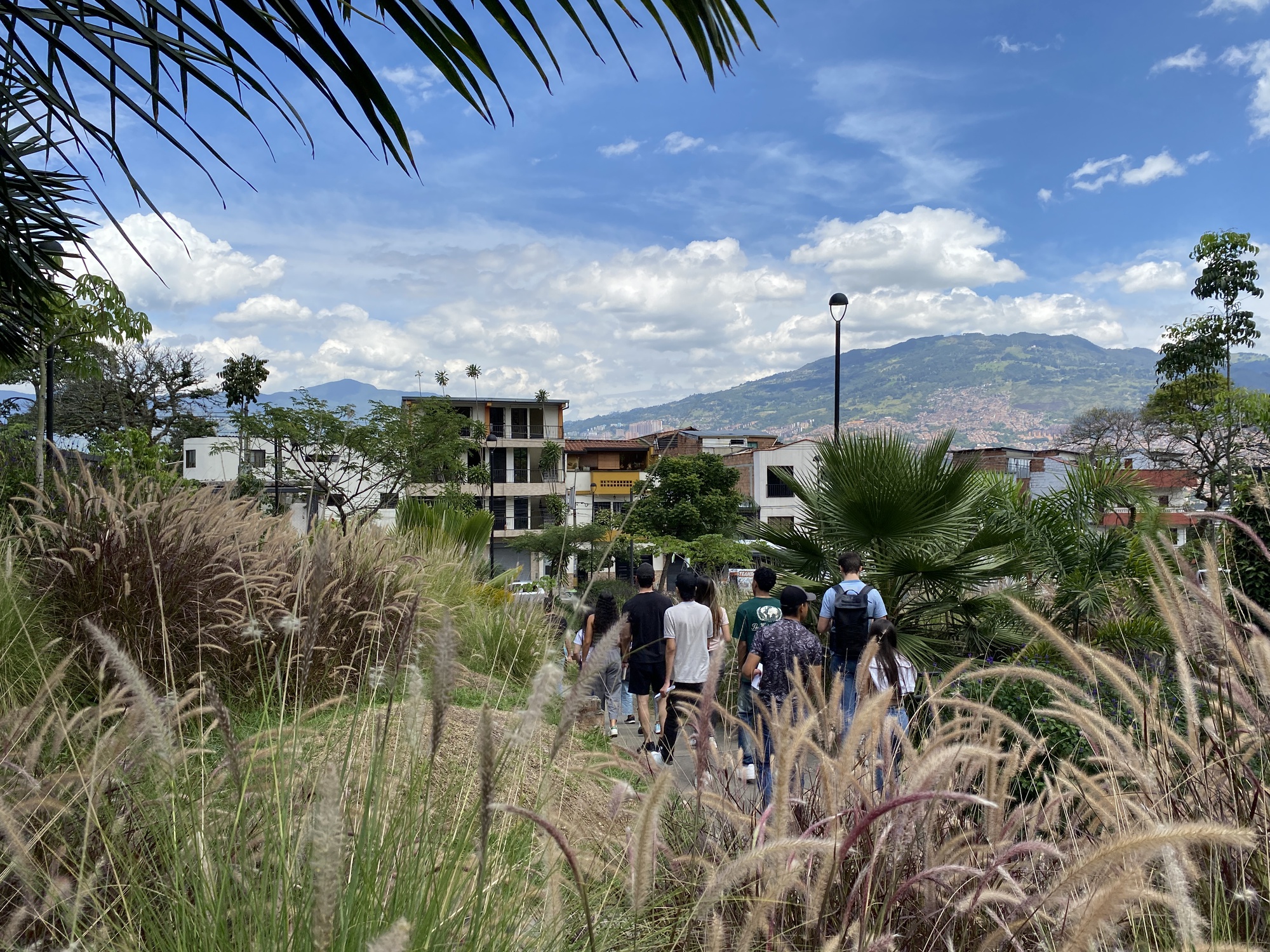 Planted pathway with grasses and palms descending toward low-rise housing under a cloudy afternoon sky