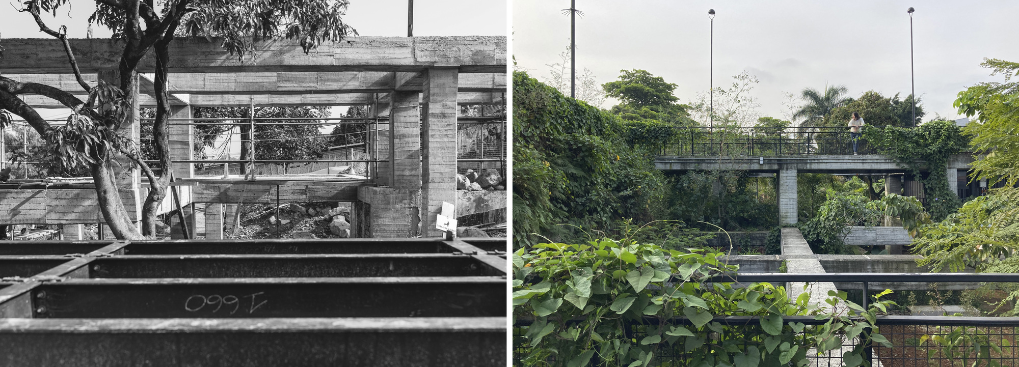 Elevated concrete bridge structure with planted greenery and lamp posts spanning across planted terraces