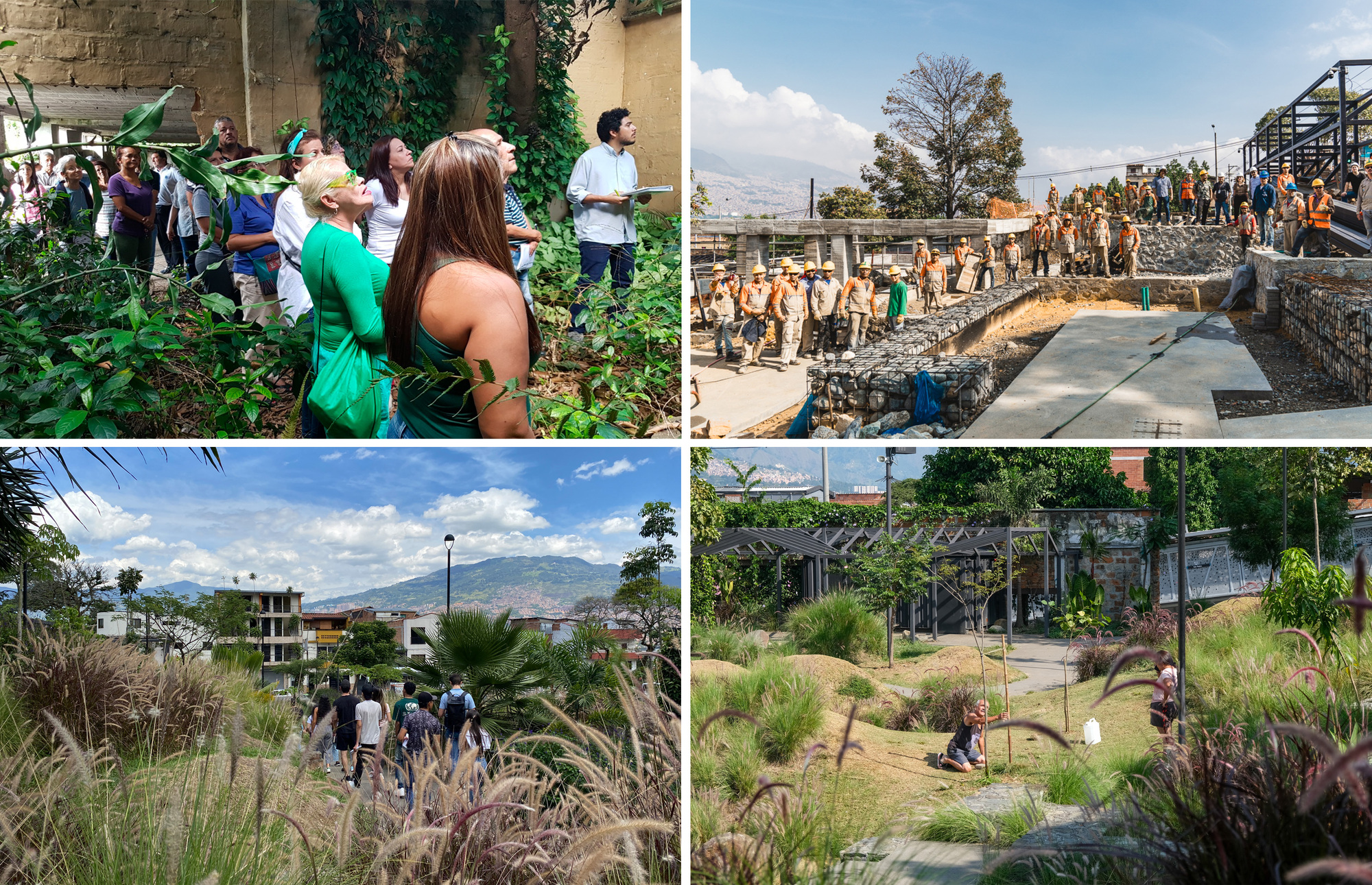 Four views showing visitors among planted beds, construction workers on site, and terraced landscape with grasses