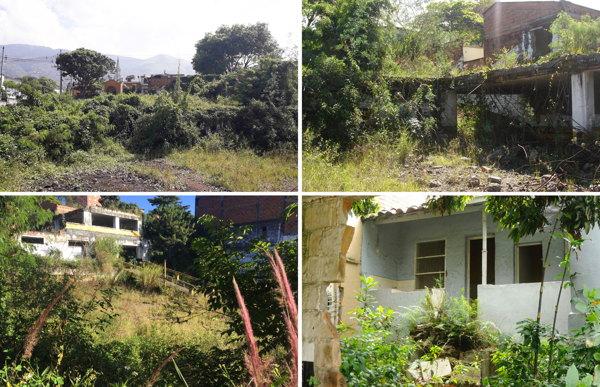 Four views of overgrown site showing concrete ruins, vegetation, and partial structures with trees and hillside