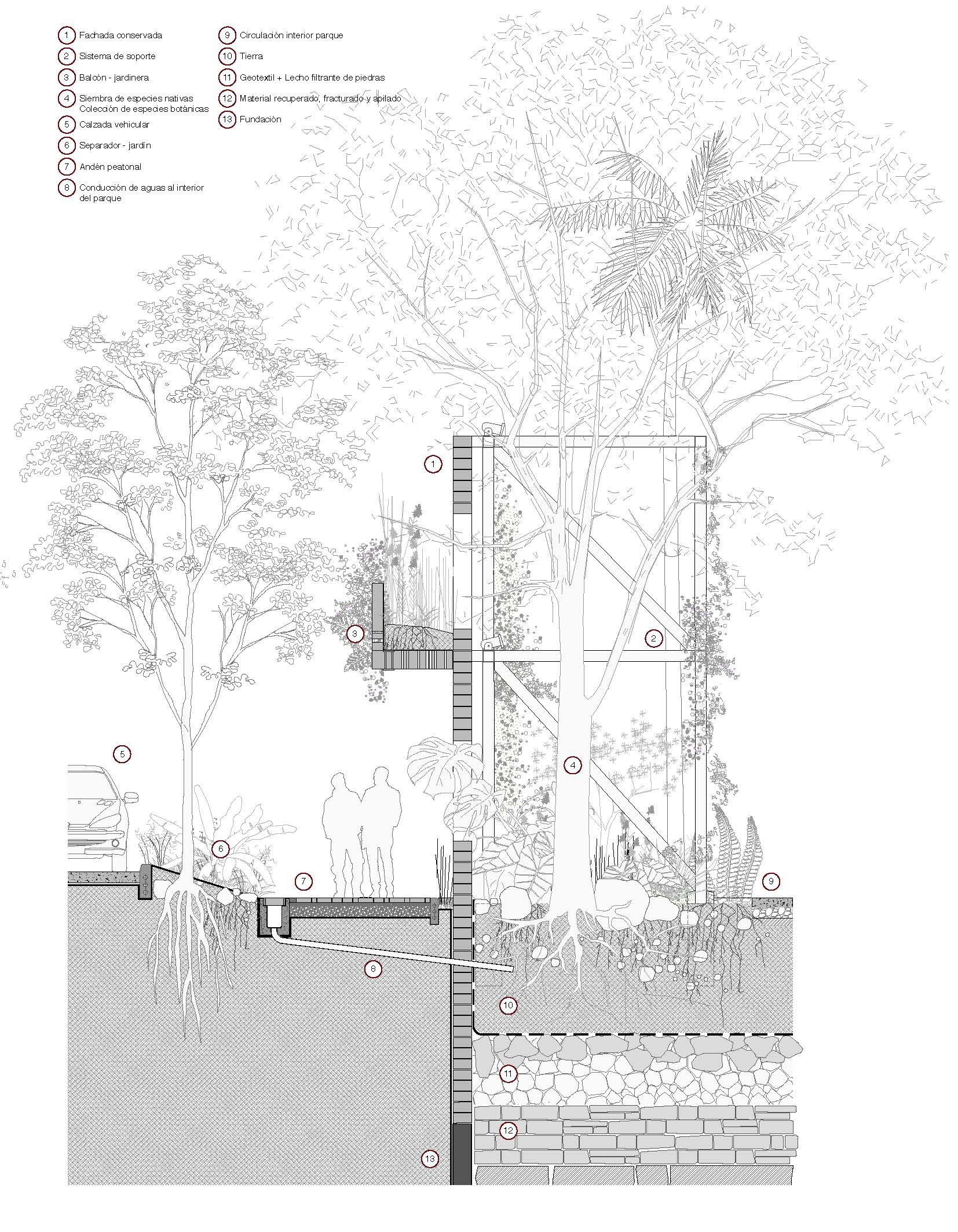 Section drawing with annotated details revealing the structure embedded among palms and vegetation with figures below