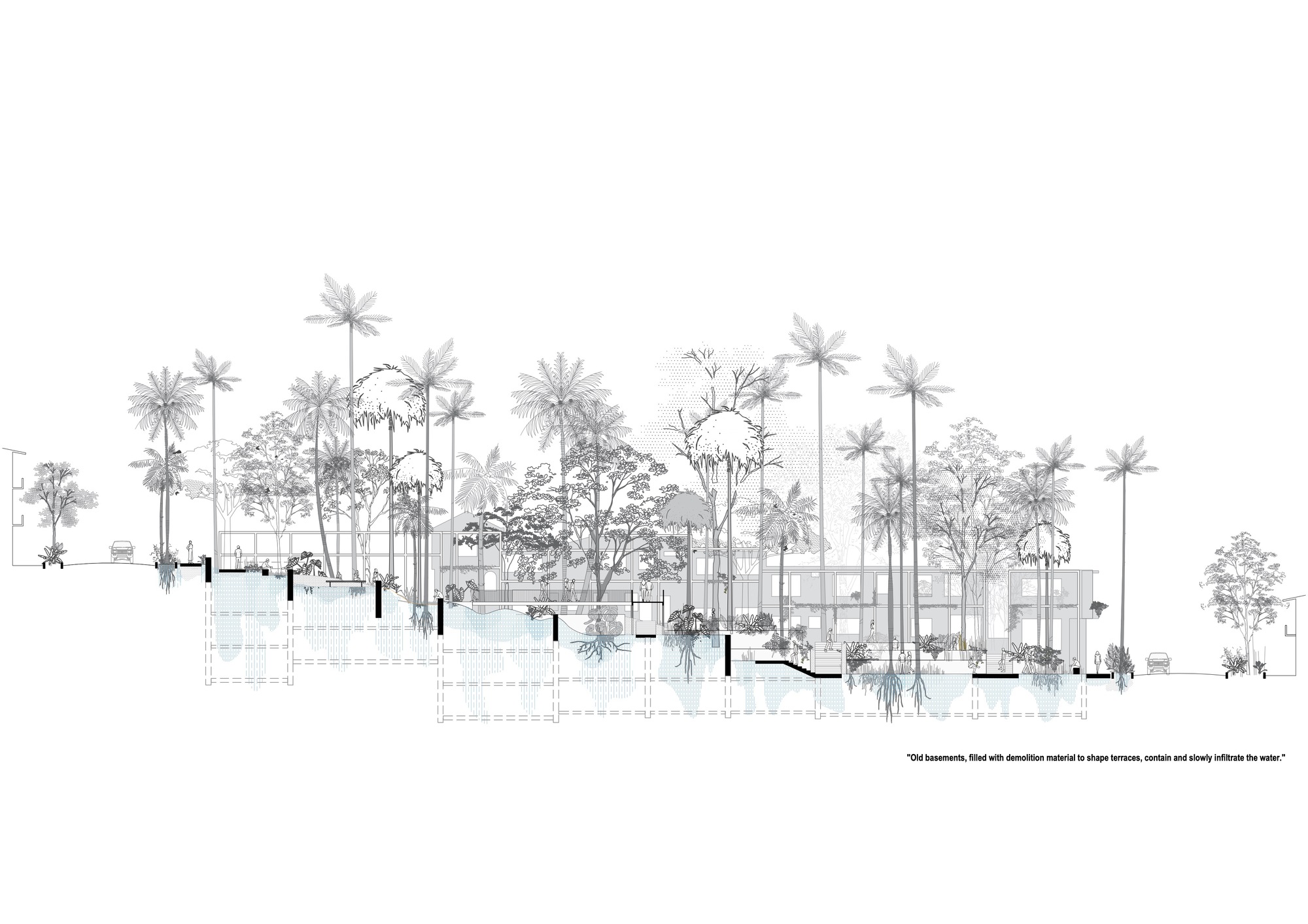 Elevation drawing depicting multiple levels beneath tall palms and trees with people scattered throughout the space