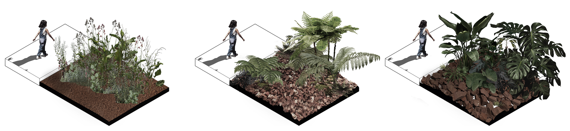 Isometric rendering showing three planting zones with varying vegetation densities and human figures for scale