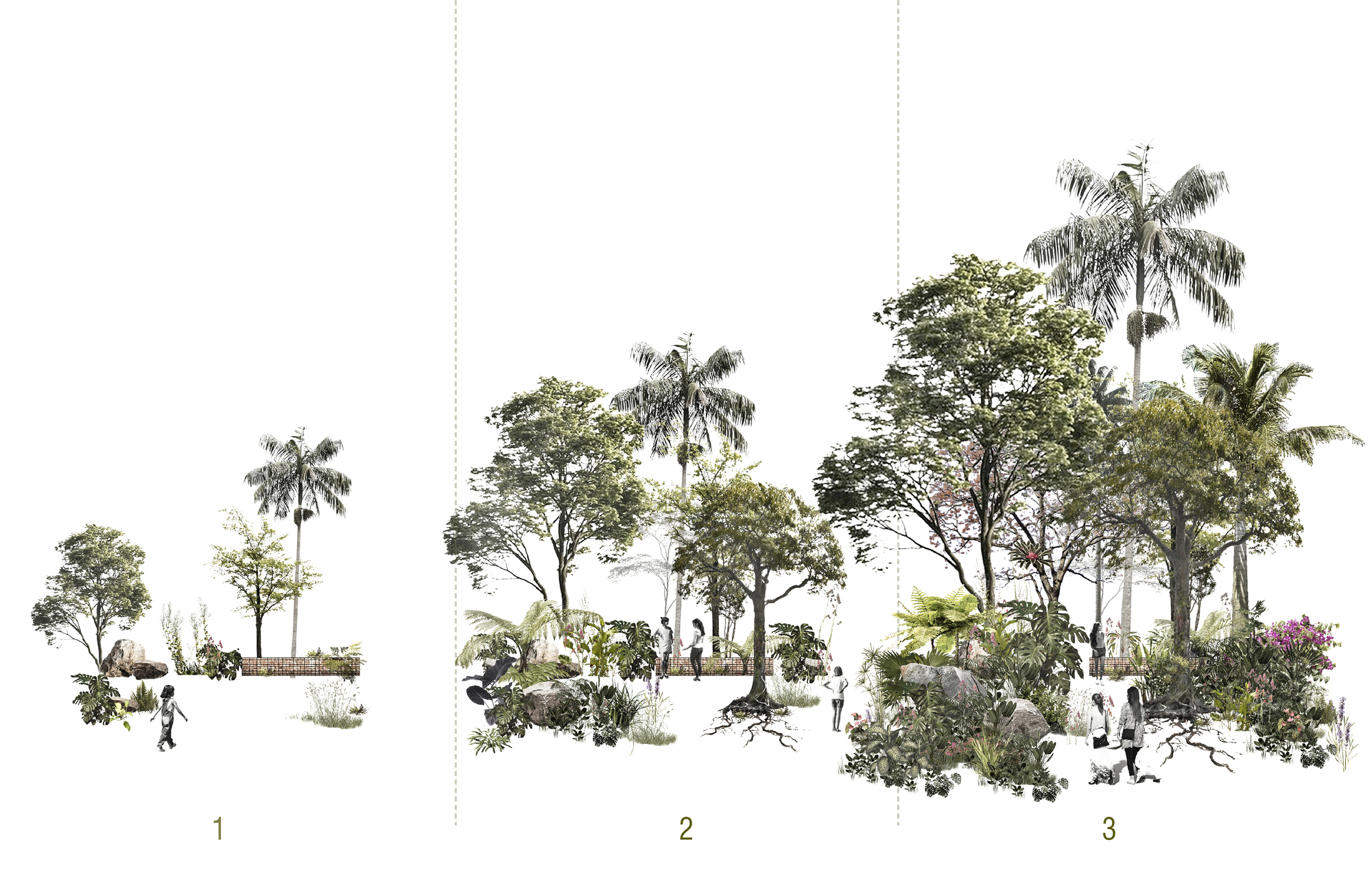 Section elevation showing three zones of layered planting with palm trees and canopy trees at varying heights