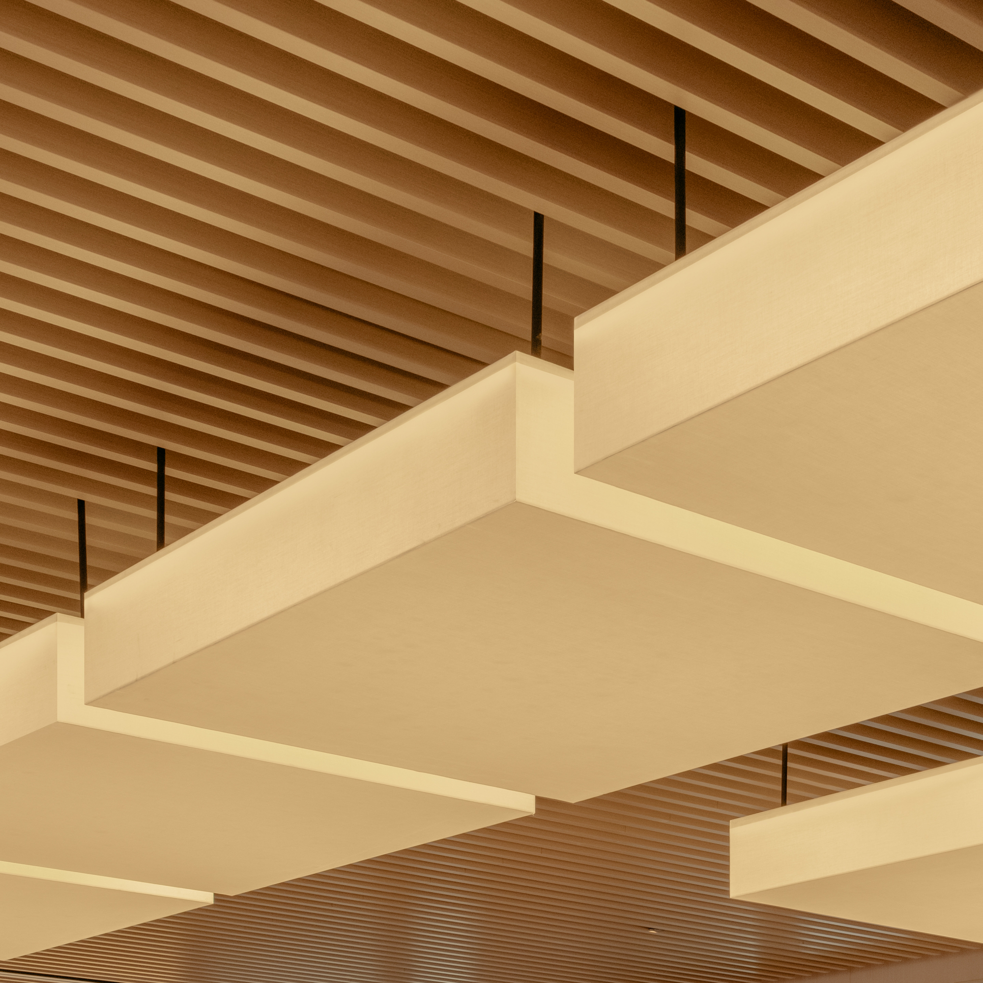 Detail view of layered pale panels suspended by black rods below the ribbed timber ceiling