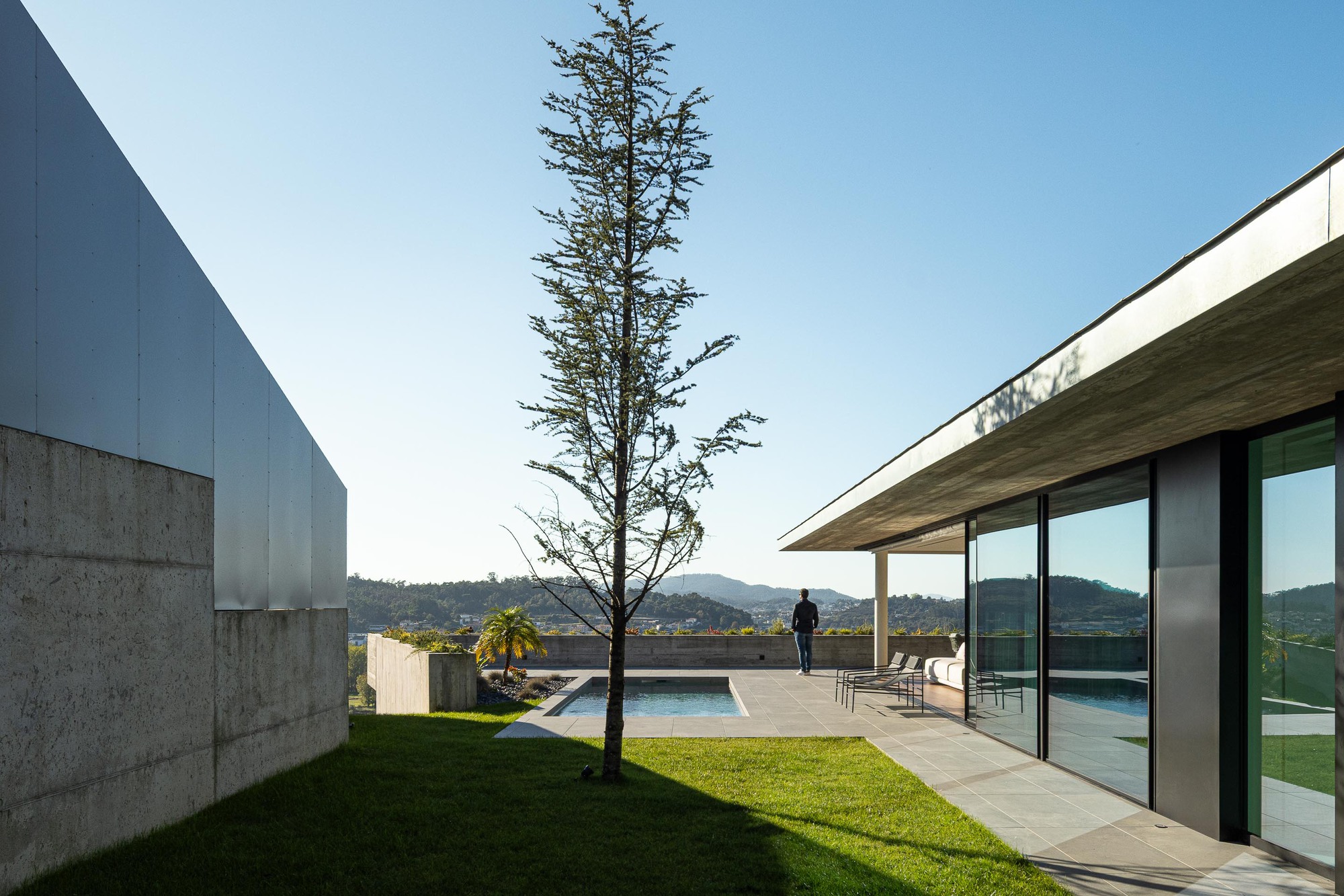 Courtyard view with concrete and glass volumes framing a slender tree and swimming pool under a clear sky