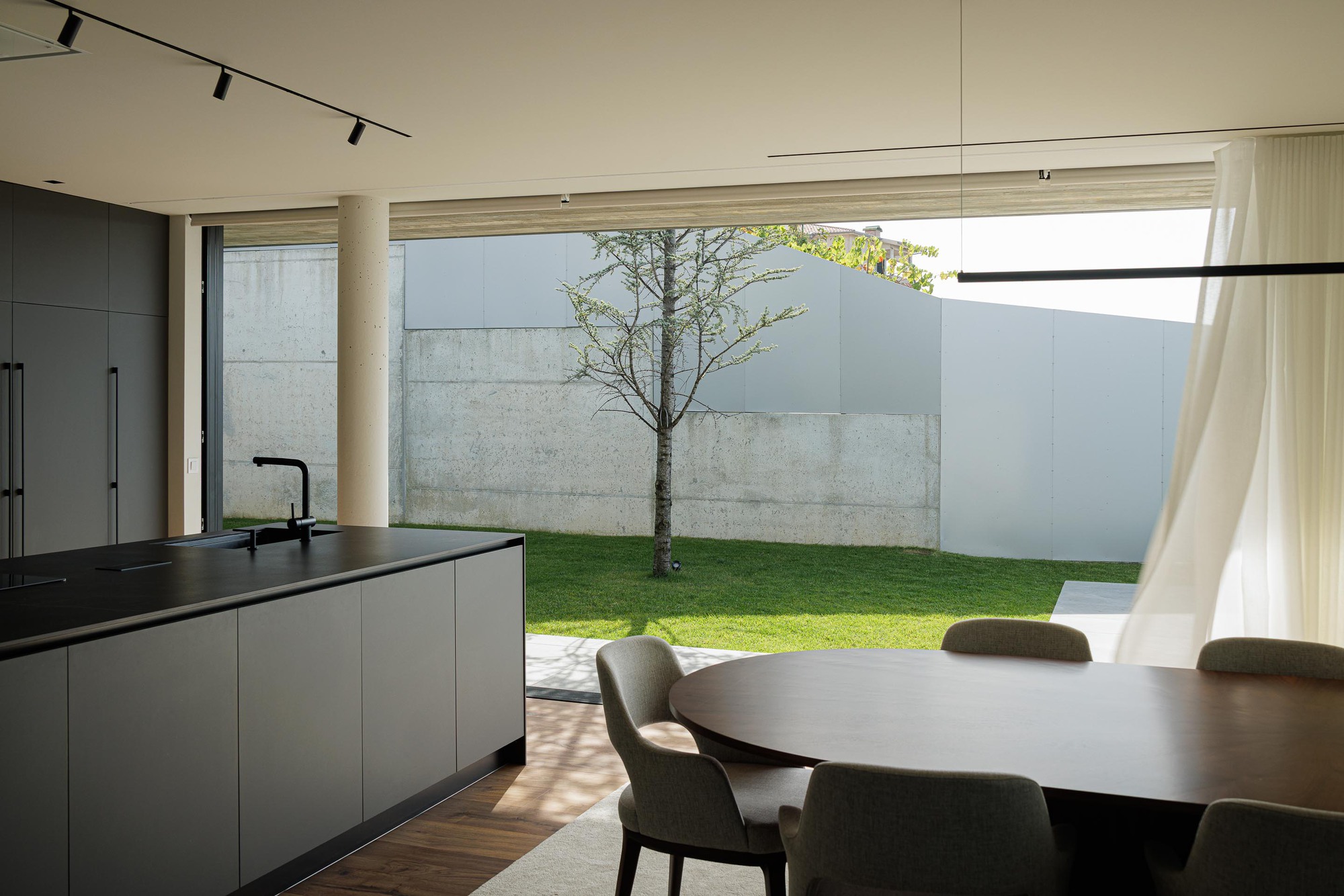 Open plan kitchen and dining area with full-height glazing overlooking a private courtyard with a single tree