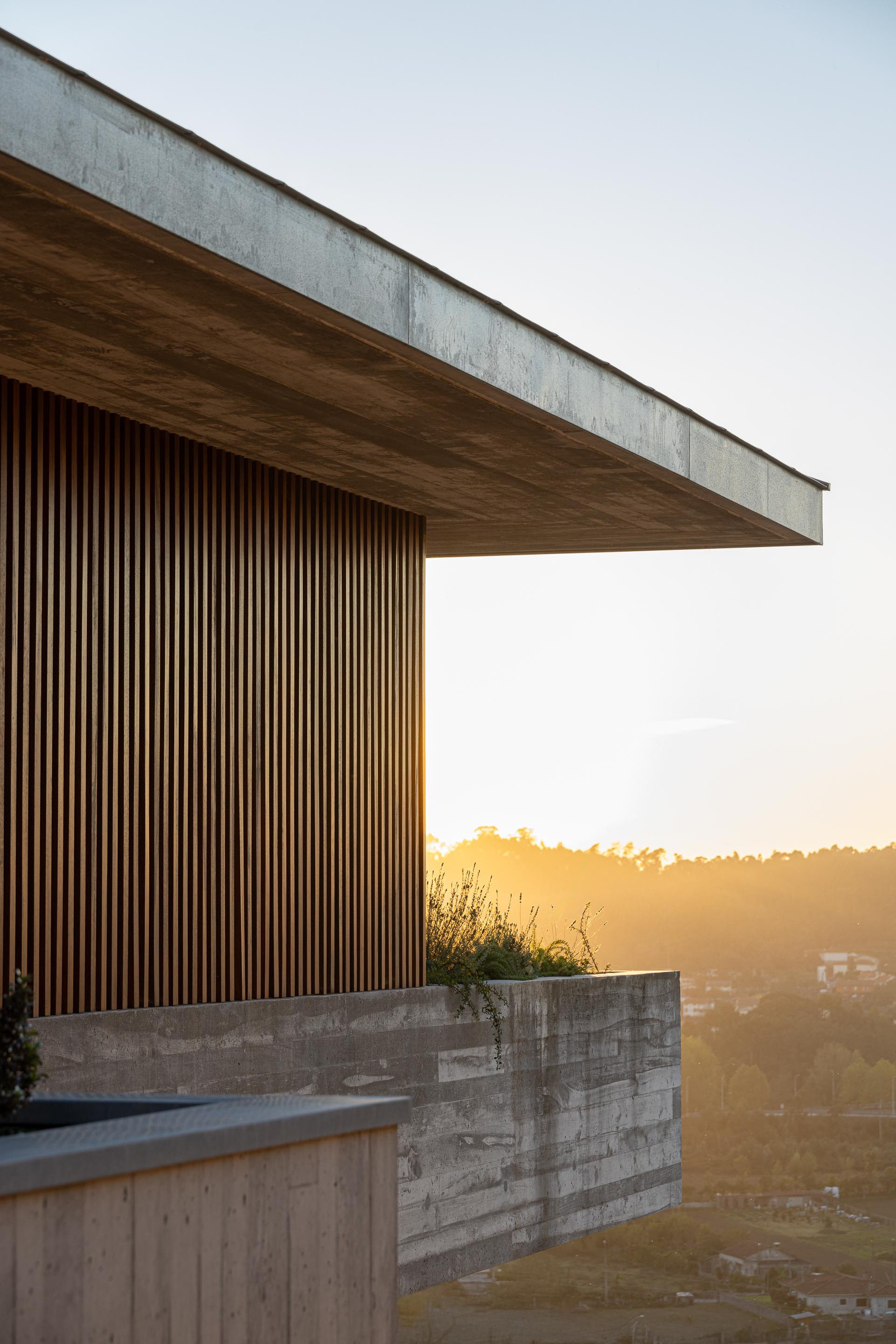 Cantilevered roof overhang with exposed timber soffit and vertical timber screening at sunset