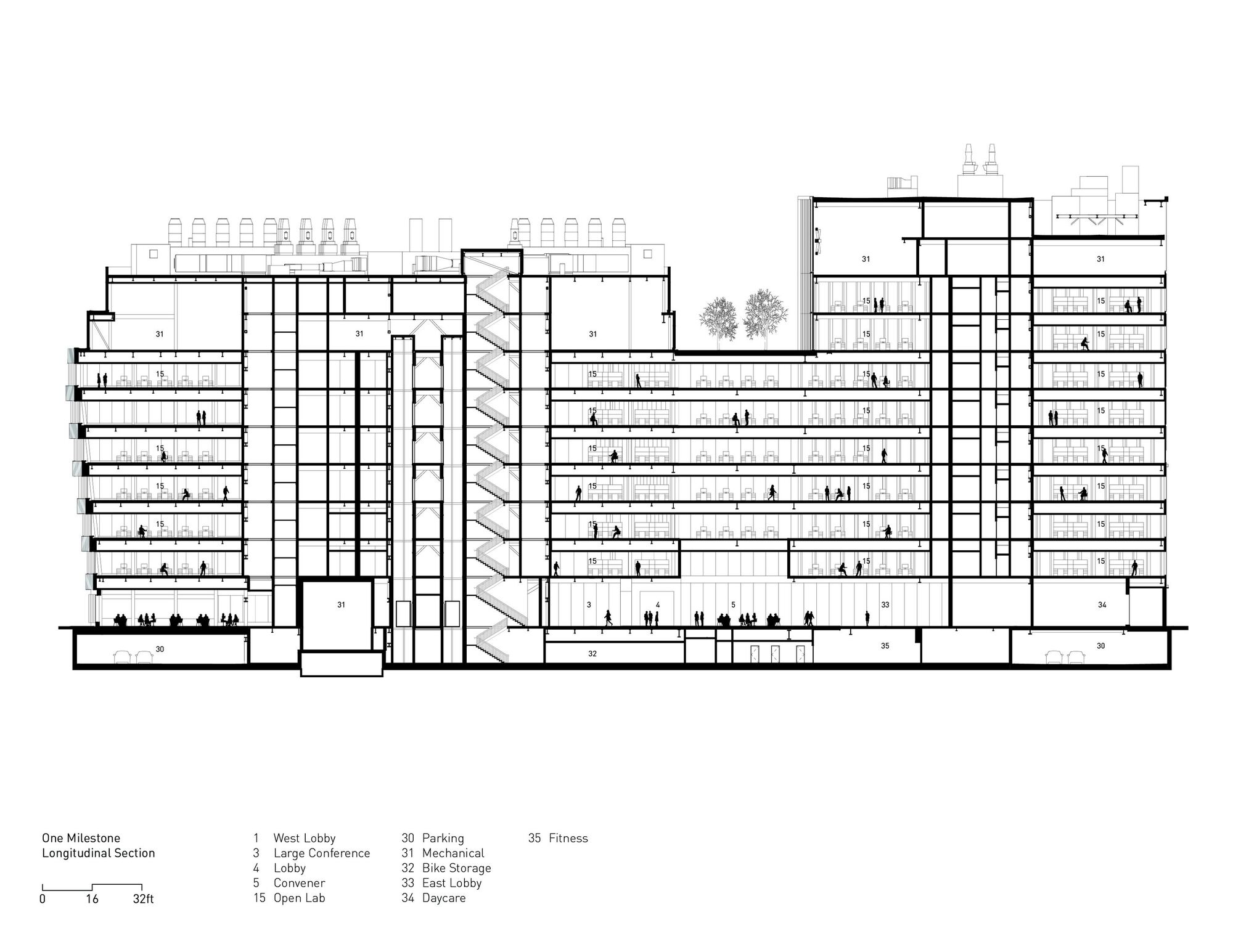 Longitudinal section drawing through multiple connected volumes with terraced floors and an interior courtyard tree