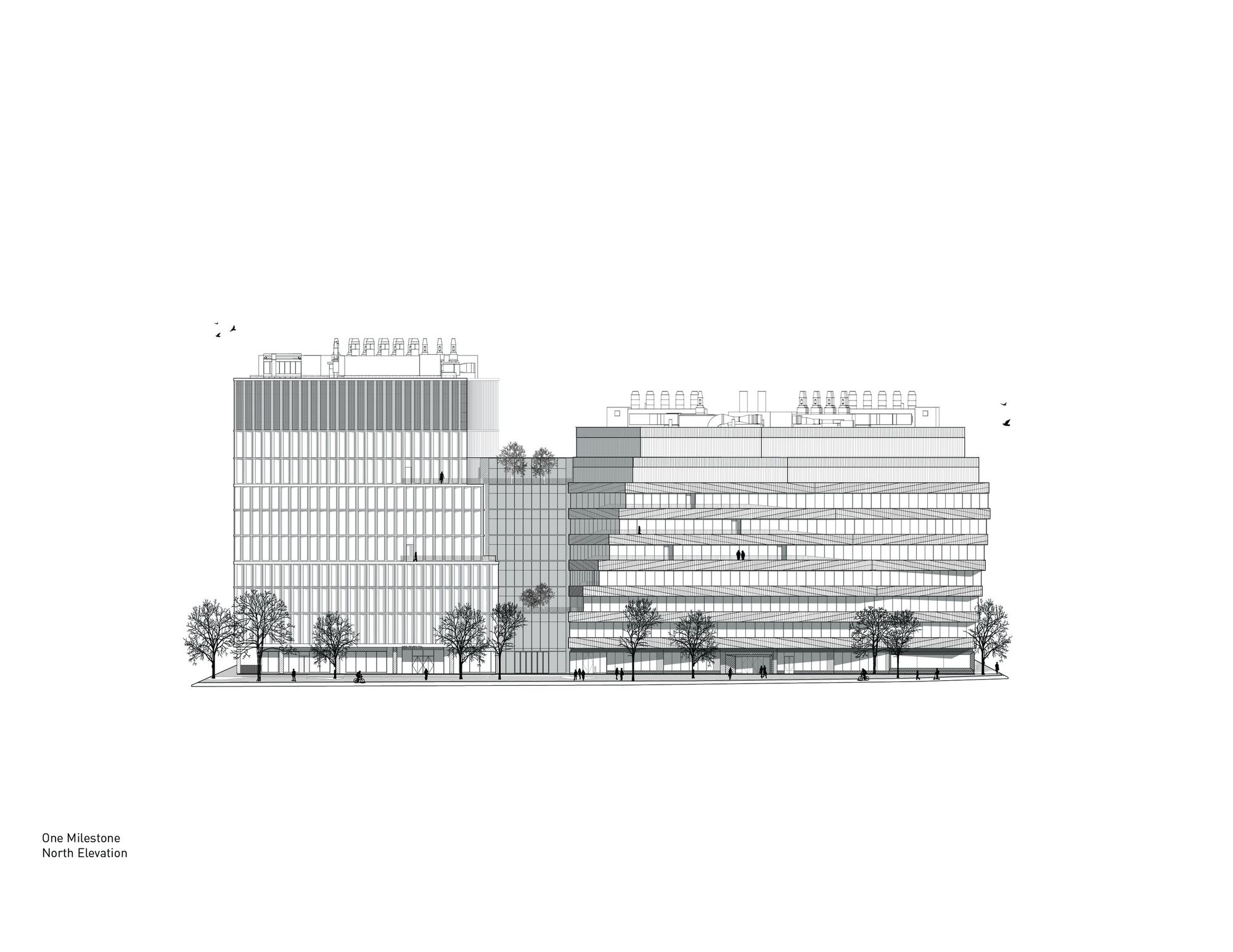 North elevation drawing depicting two connected volumes with gridded facades and street trees at grade
