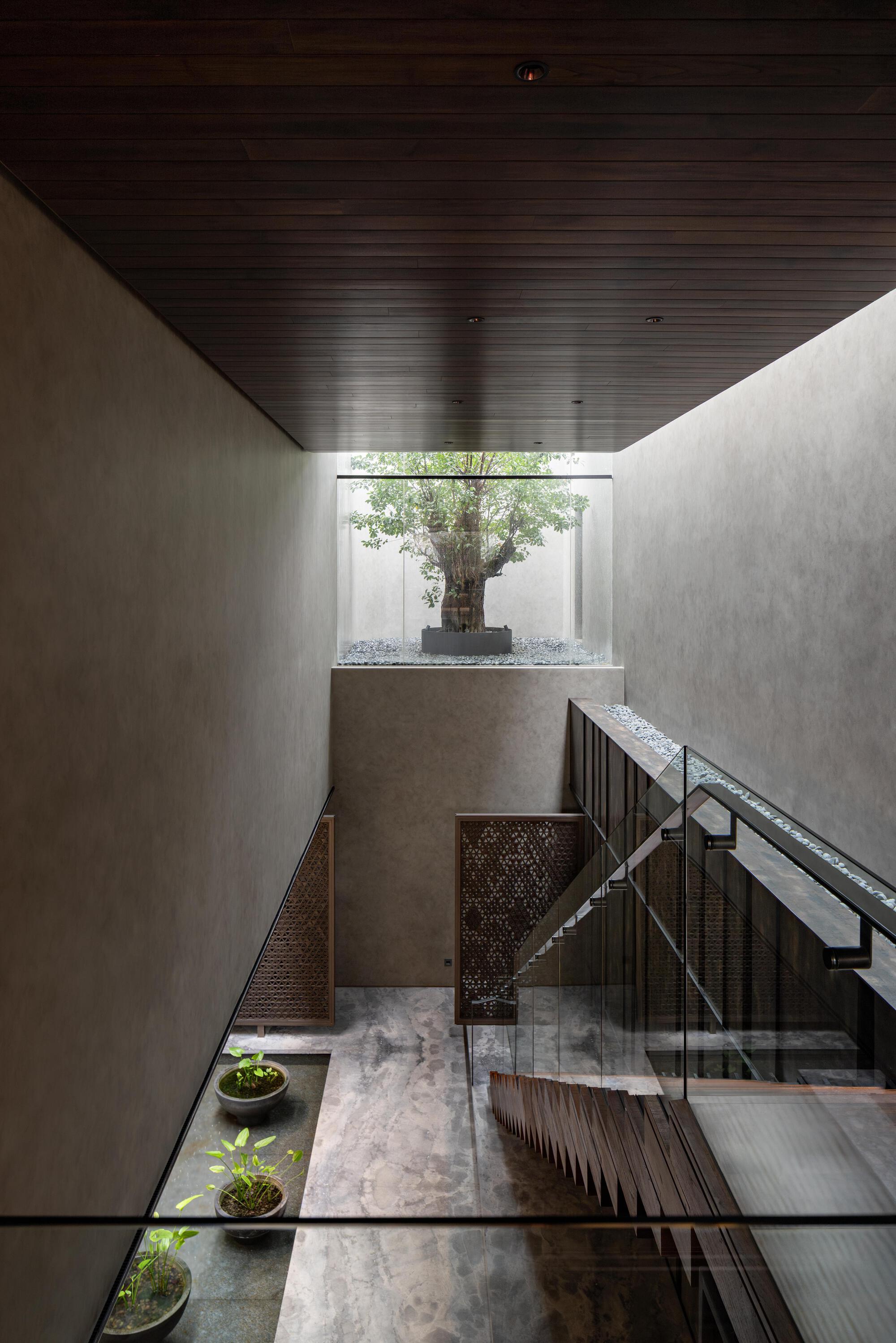 Interior atrium with concrete walls and dark timber ceiling framing a courtyard window with single tree