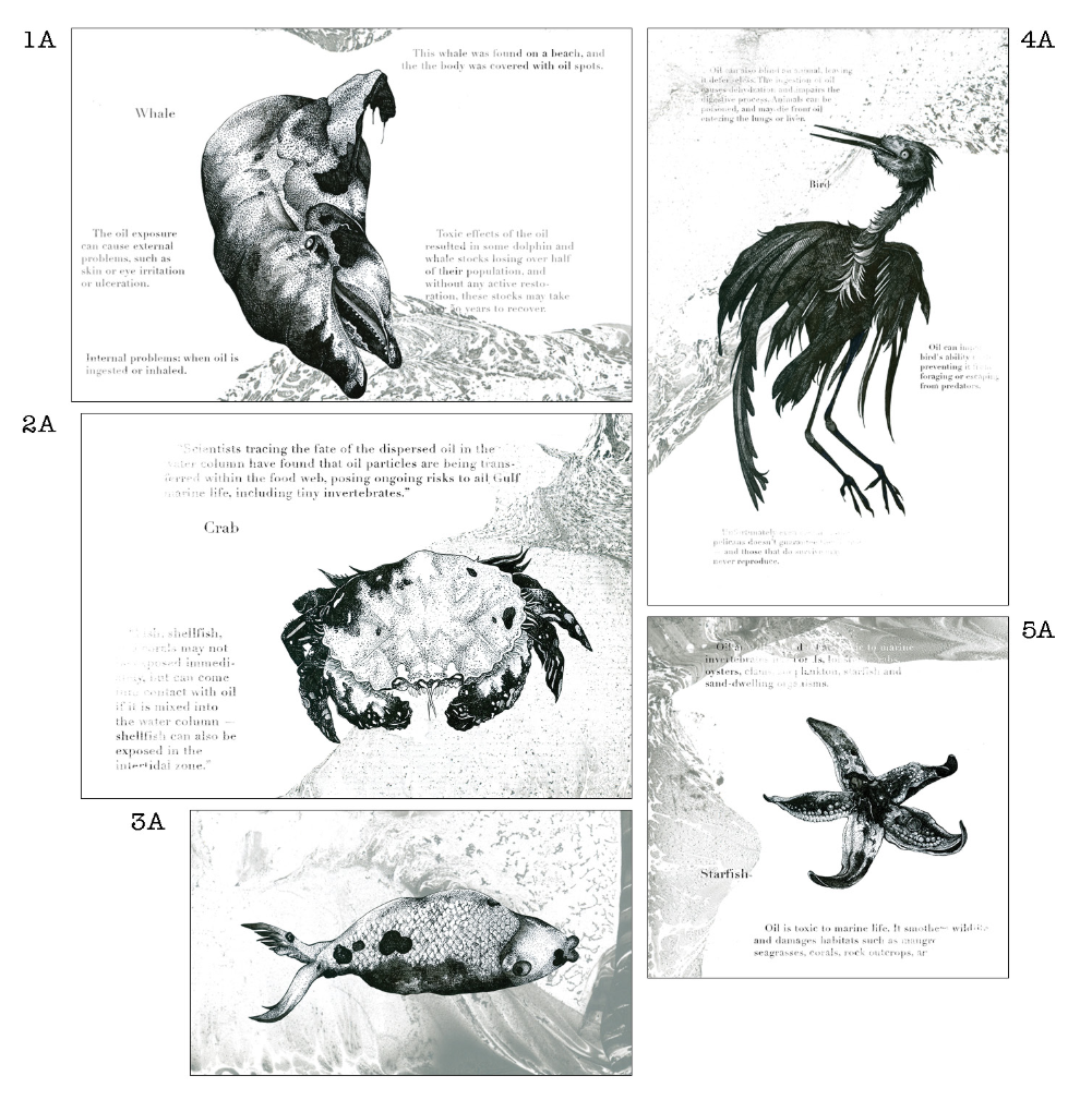 Illustrated marine species combine scientific detail with expressive textures to communicate the ecological impact of oil spills.