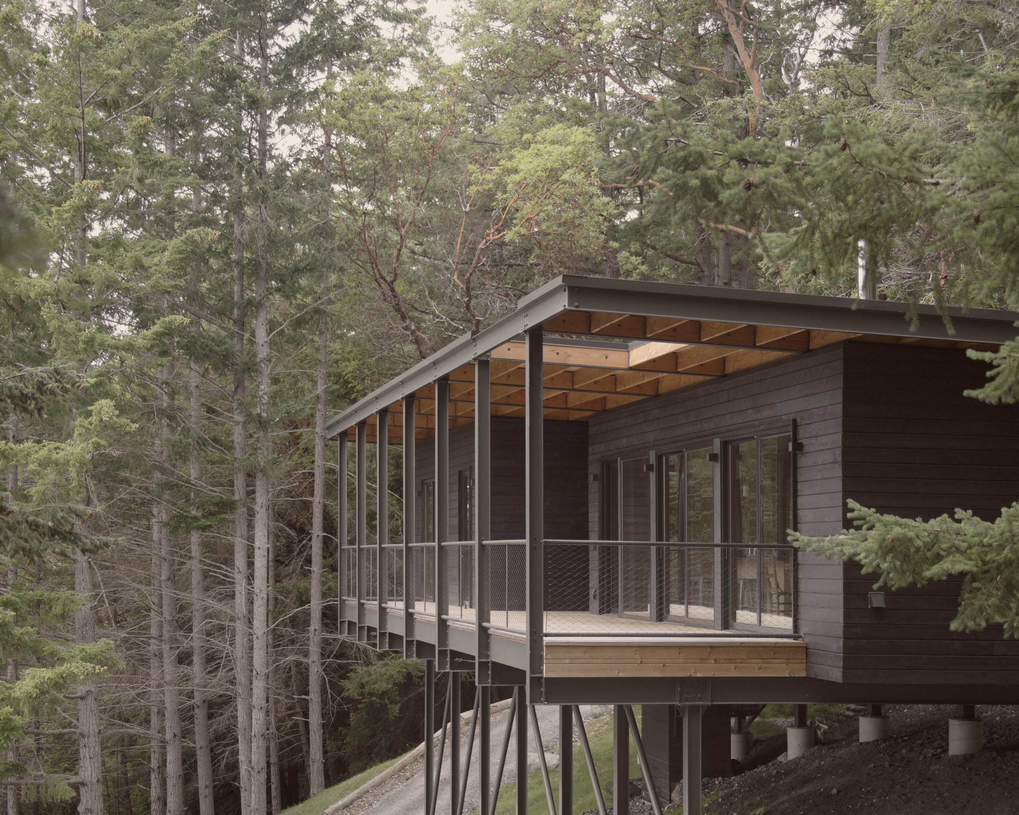 Elevated screened porch with exposed timber rafters and dark horizontal siding nestled among conifer trees