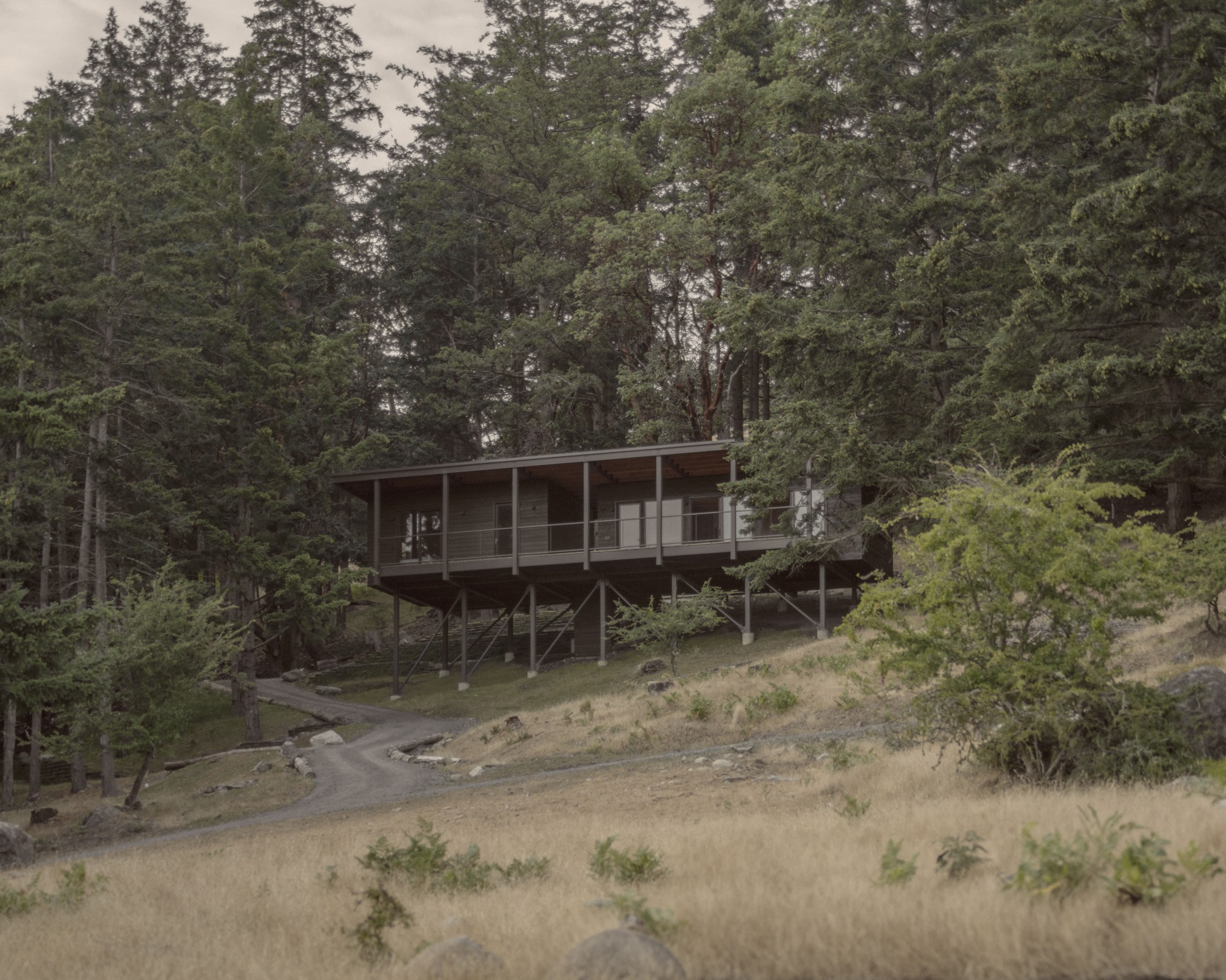 Elevated cabin on steel posts above gravel driveway with flat roof nestled in forested hillside