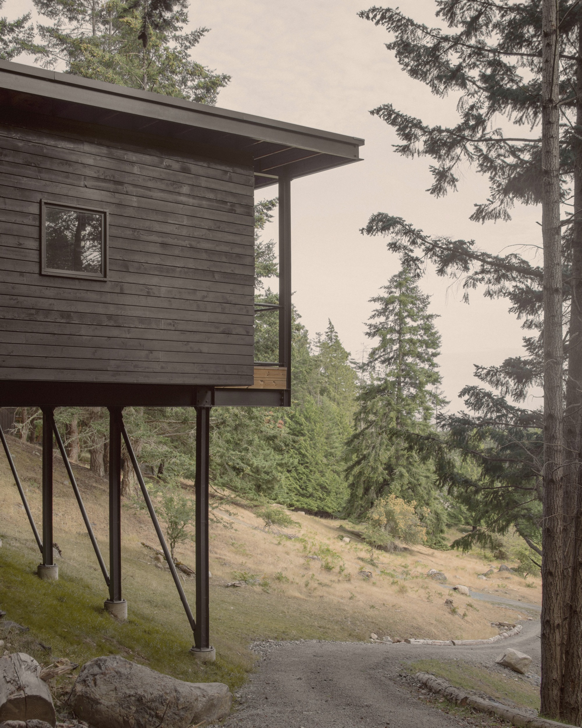 Cantilevered volume with horizontal wood siding elevated on angled steel supports above the sloping terrain