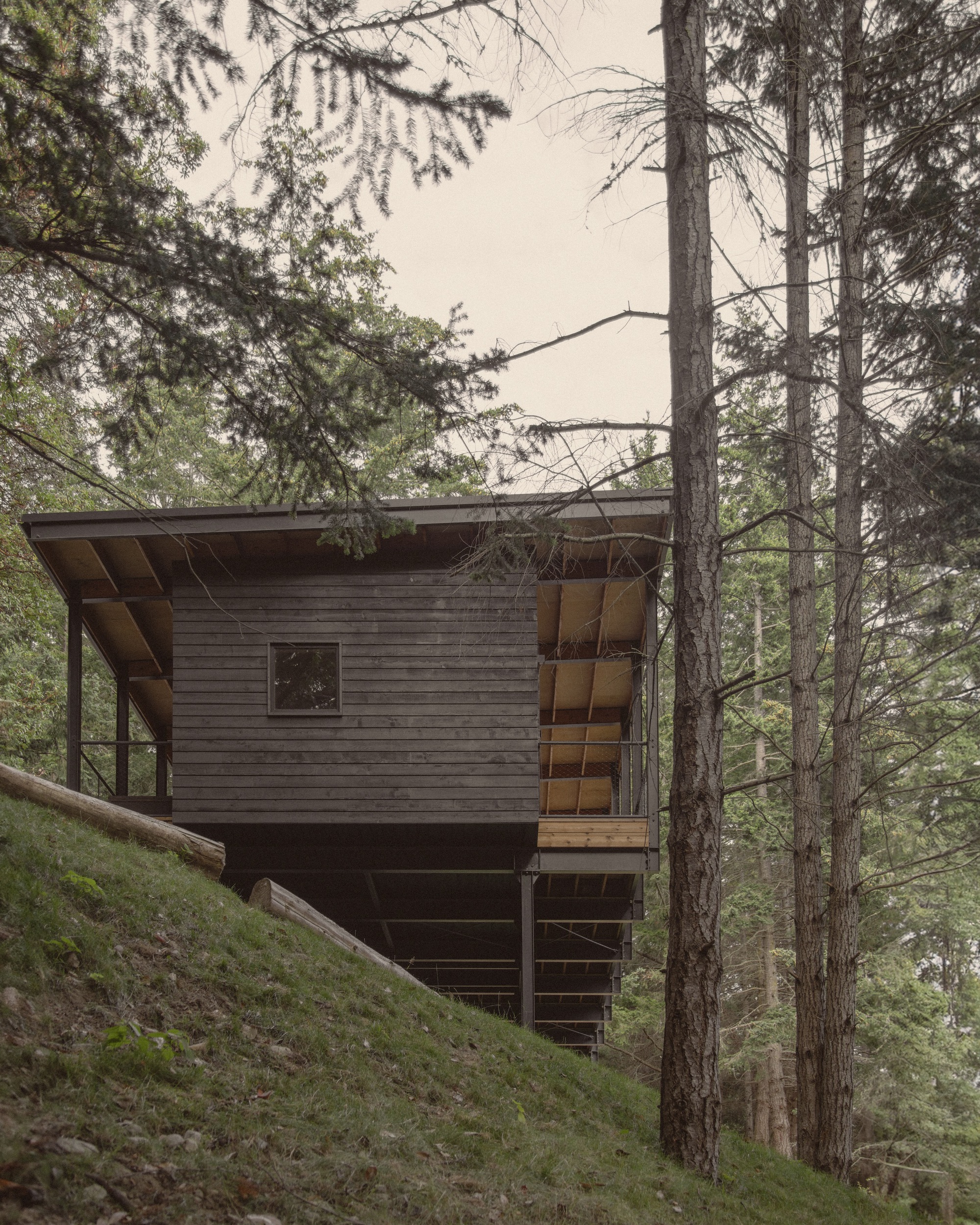 Two-story structure with dark wood cladding and exposed timber soffit nestled among conifers on a hill