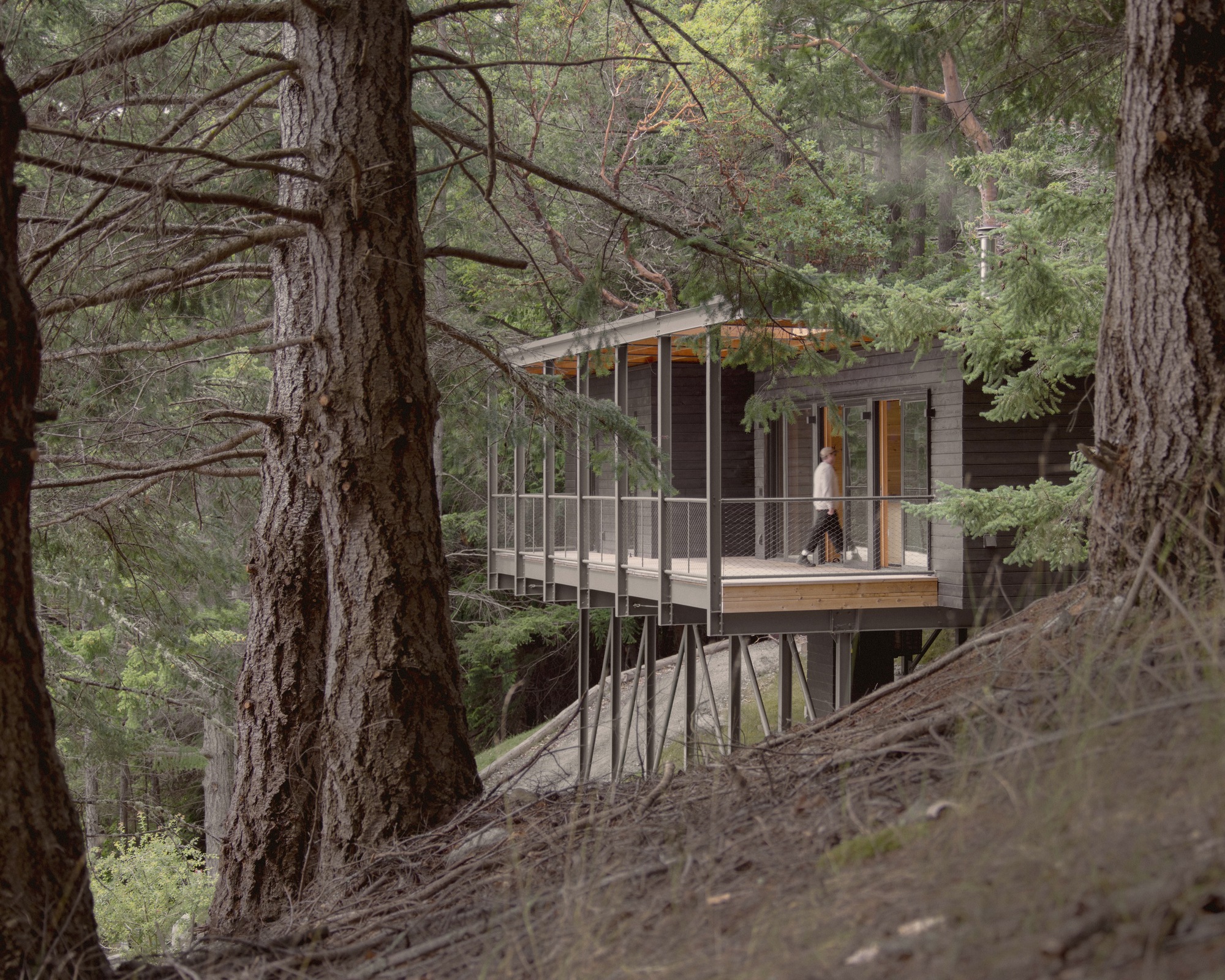 Glazed terrace with mesh railing on steel columns viewed through tree trunks with a figure inside