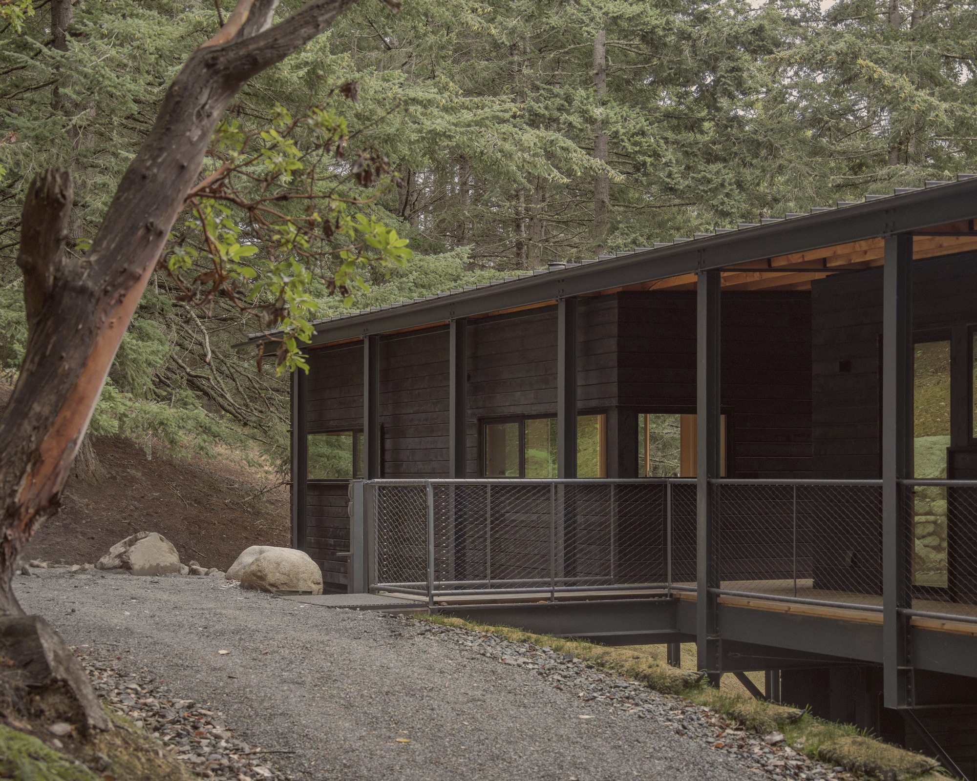 Exterior view of the dark timber pavilion with steel-framed glazing and mesh balcony set among boulders and trees