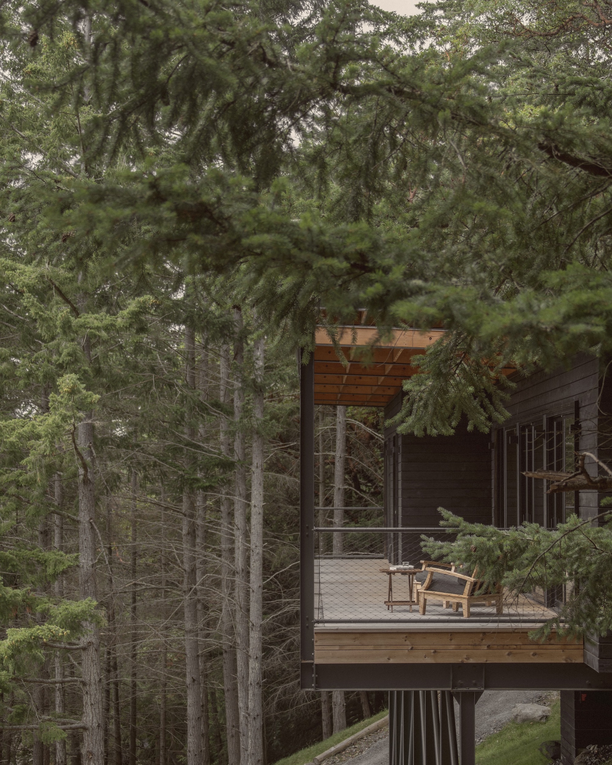 Elevated timber deck with trellis overhead and two chairs surrounded by dense evergreen forest