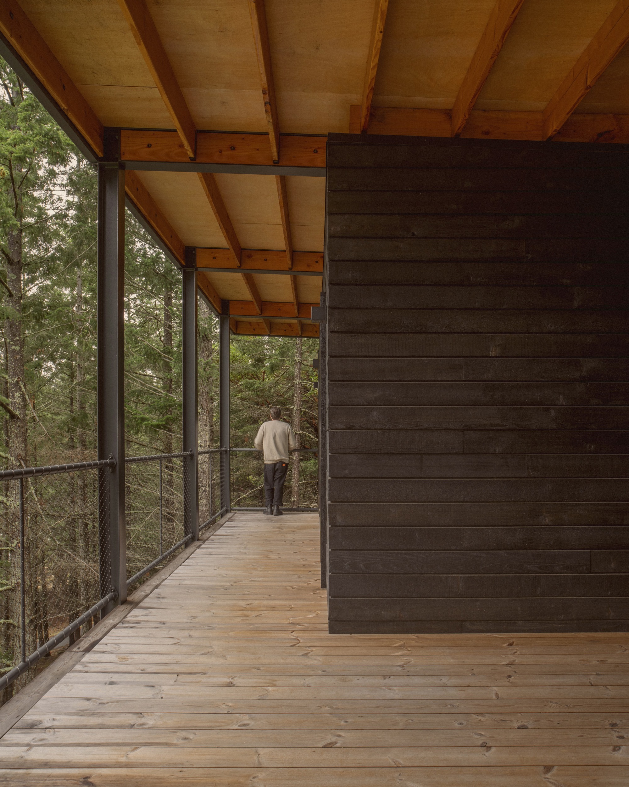 Covered timber deck with exposed rafters and dark wood wall as a person walks toward the forest edge