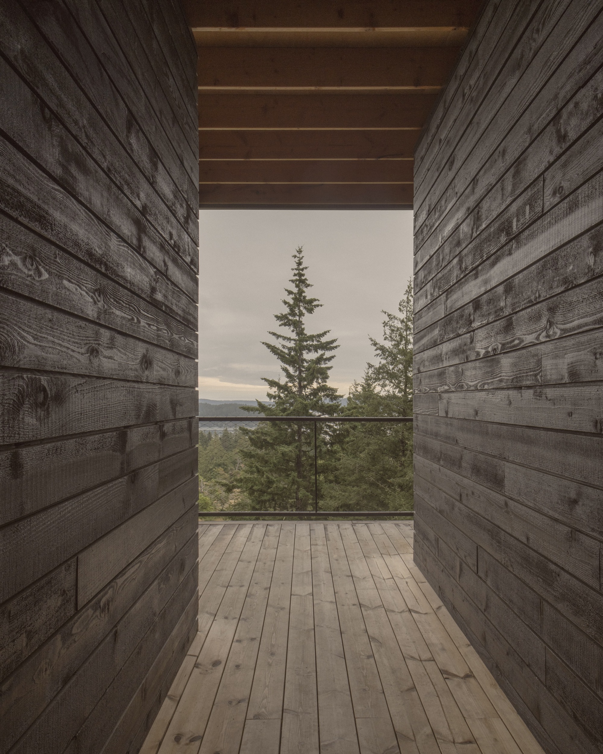 Narrow timber balcony framed by horizontal plank walls opening to a view of treetops and distant landscape