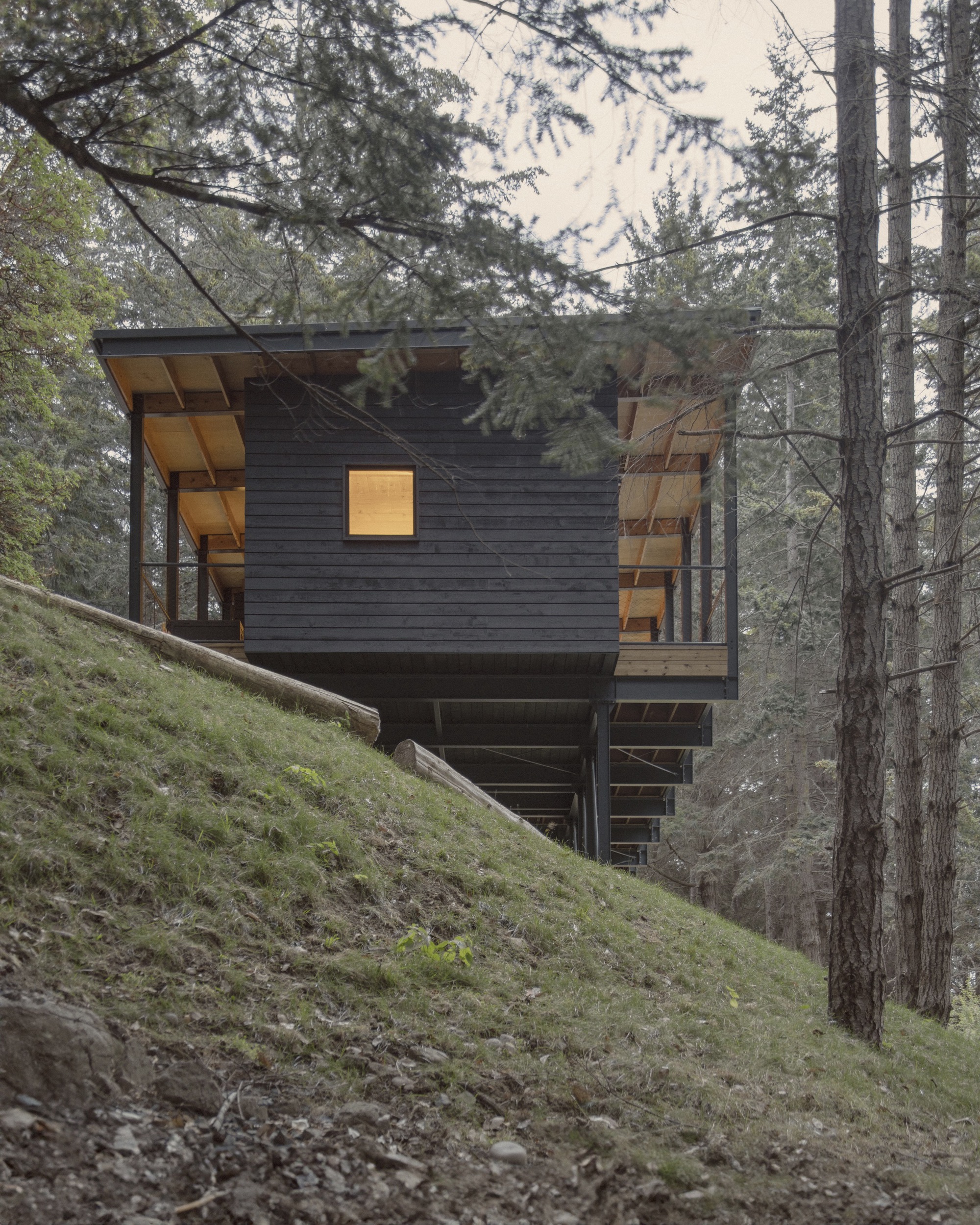 Dark wood-clad cabin elevated on slope among conifer trees with cantilevered porches