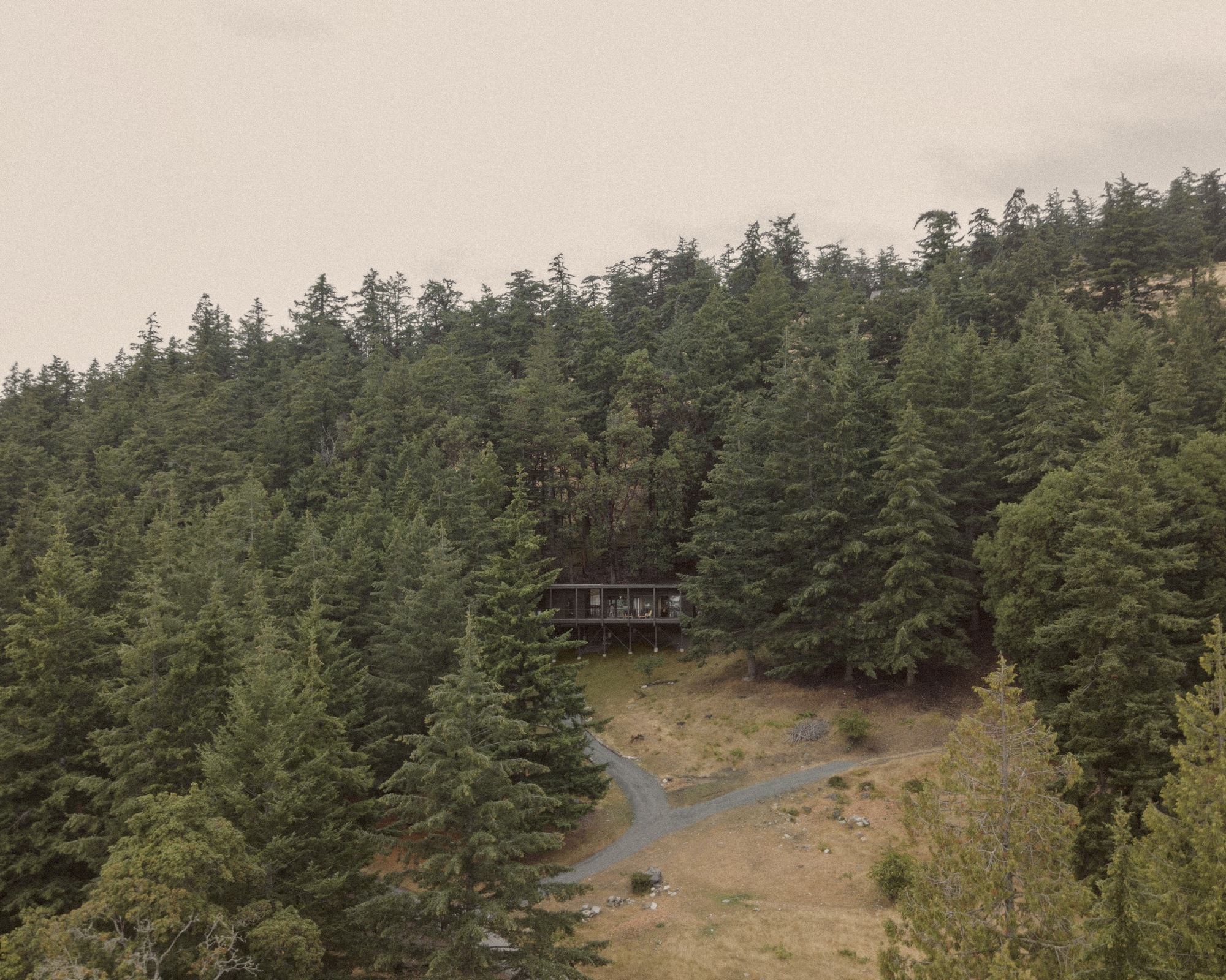 Distant view of cabin perched on clearing surrounded by dense evergreen forest under hazy sky