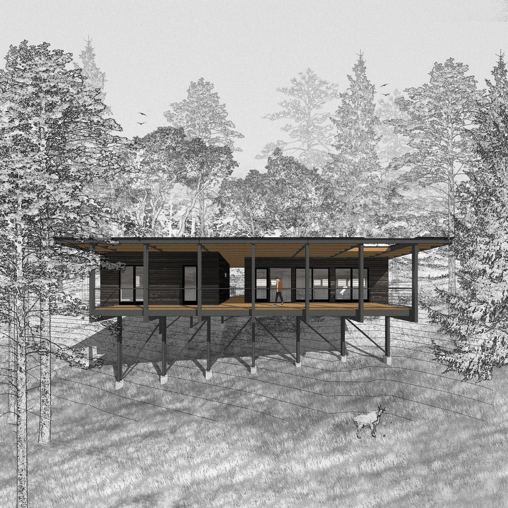 Rendered perspective of the raised timber pavilion on diagonal braces with a dog on the grassy slope