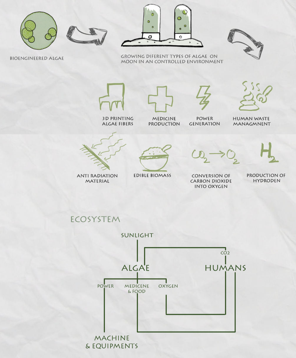 Bioengineered algae forms a closed-loop lunar ecosystem for oxygen, food, medicine, energy, waste treatment, and construction.