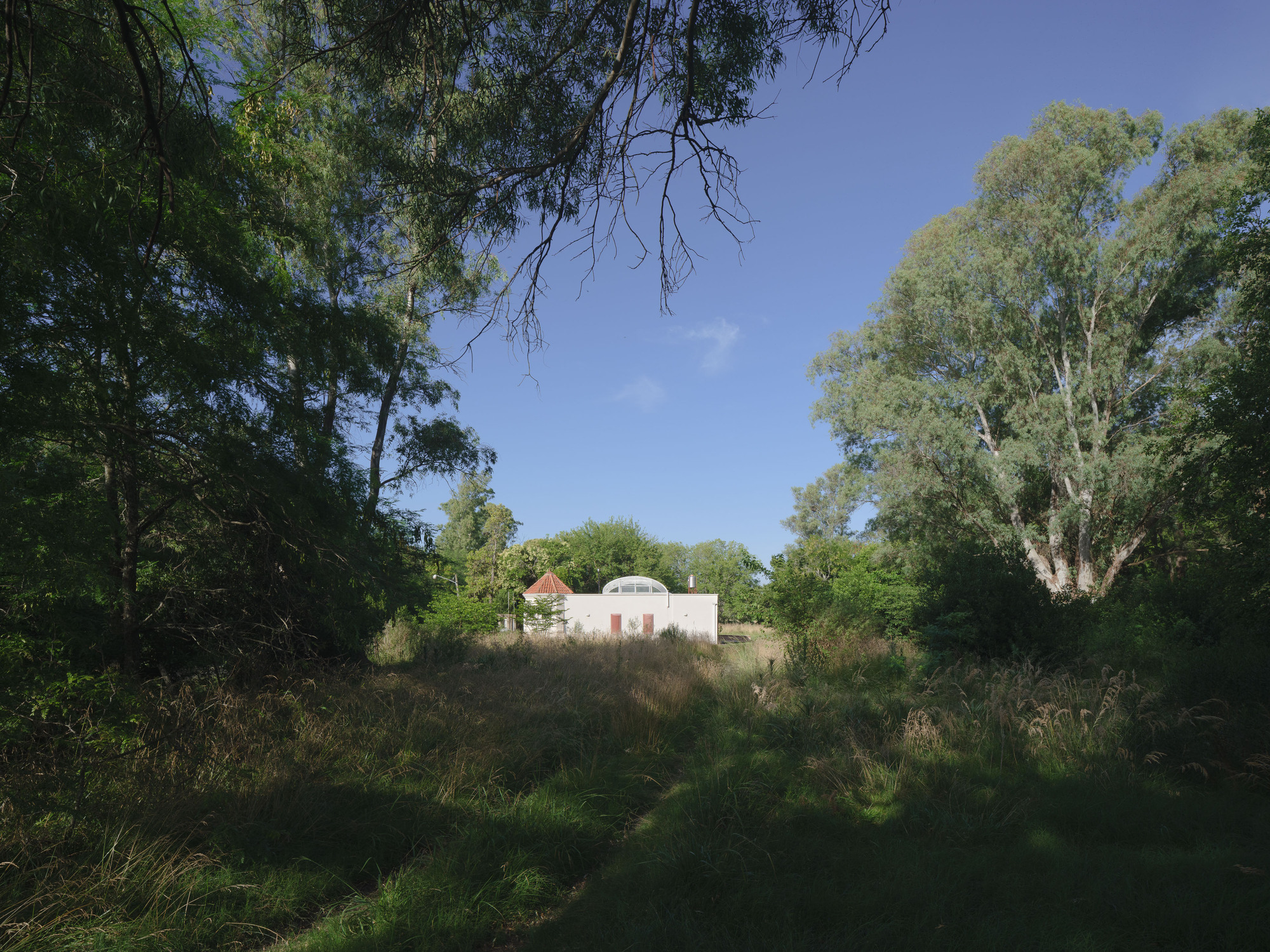 Distant view of the white volume with terracotta accents framed by tall trees and meadow