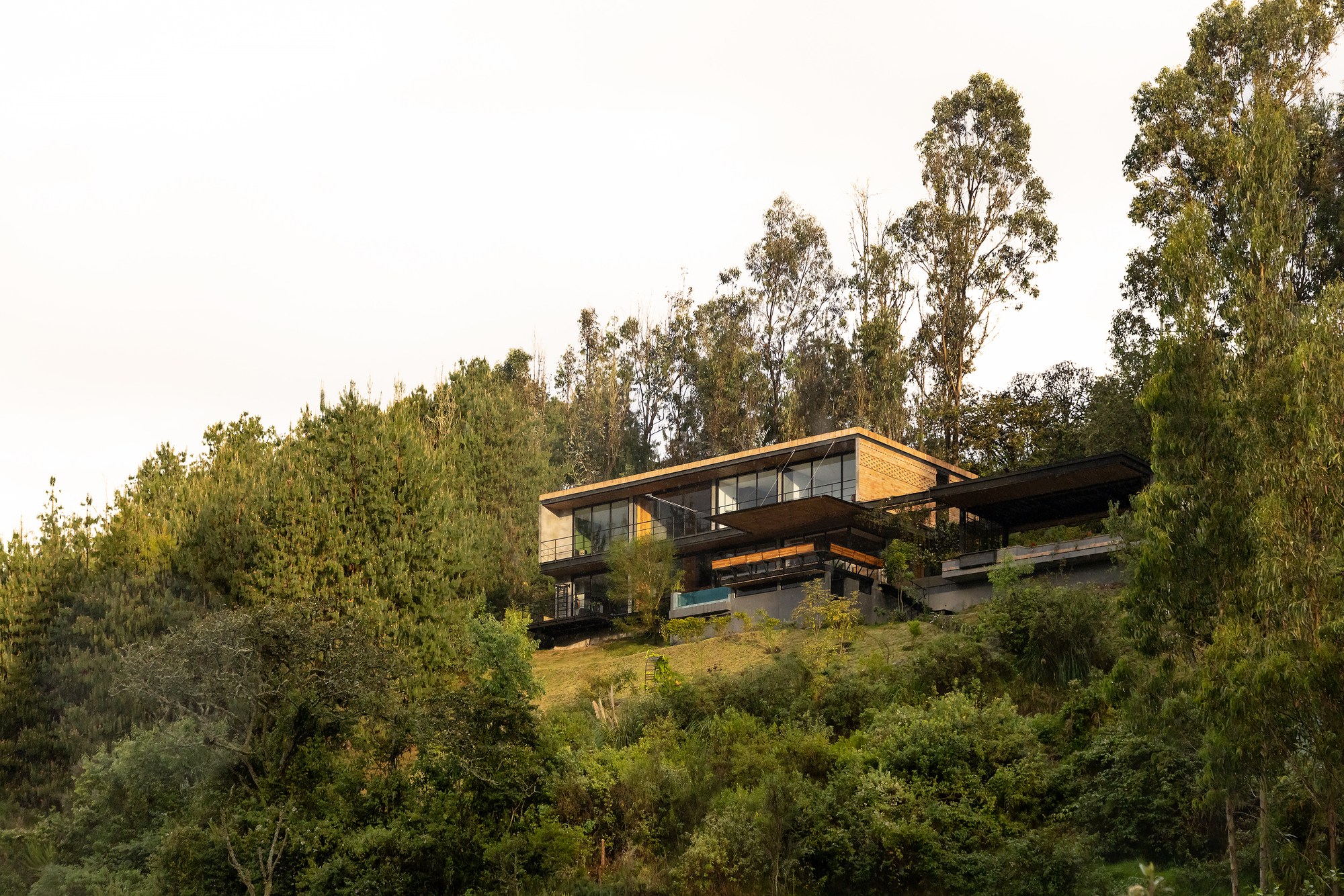 Distant view of the timber and glass volumes perched on a forested hillside at dusk